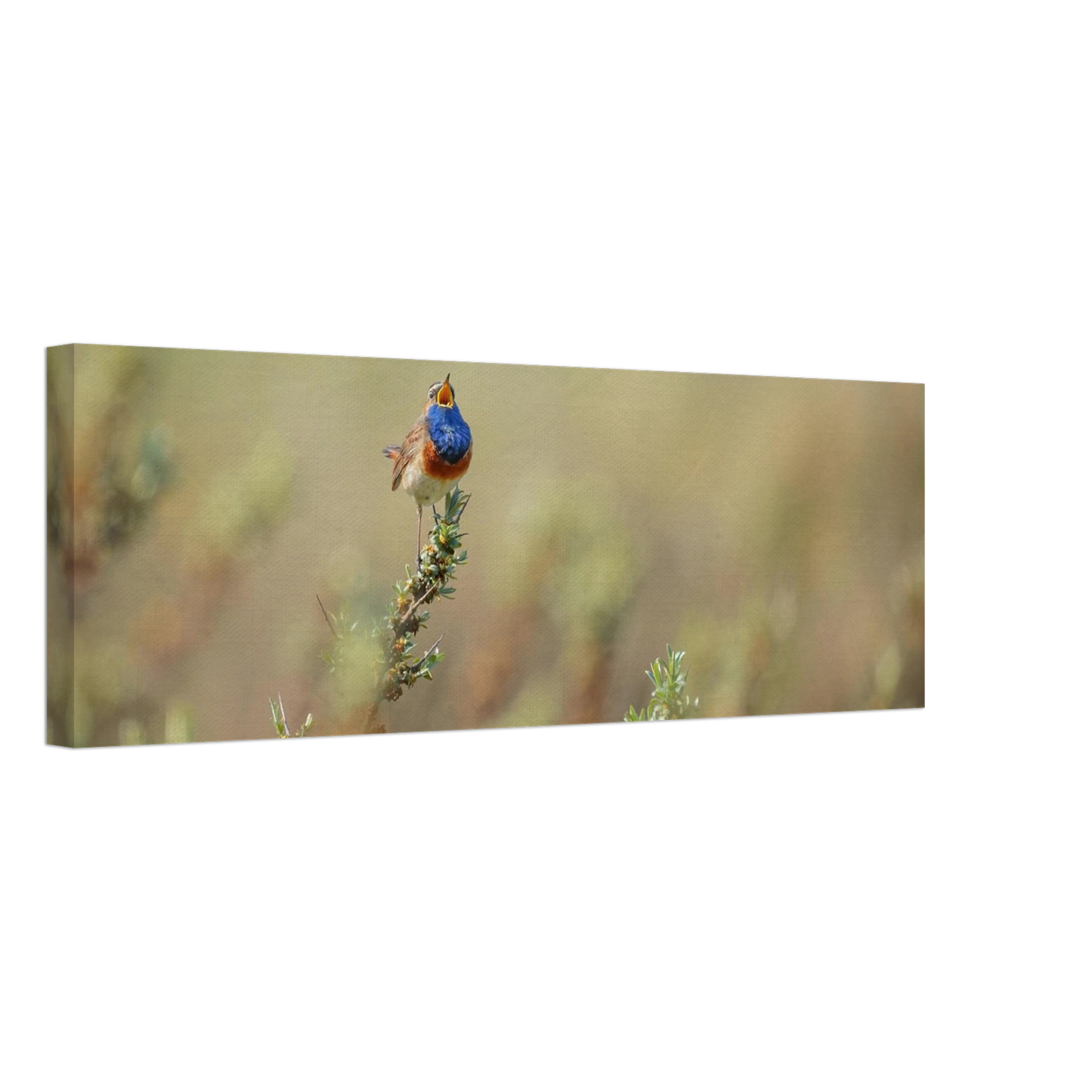 Wandbild lebendige nachtigall ein meisterwerk der naturfotografie fuer ihr zuhause
