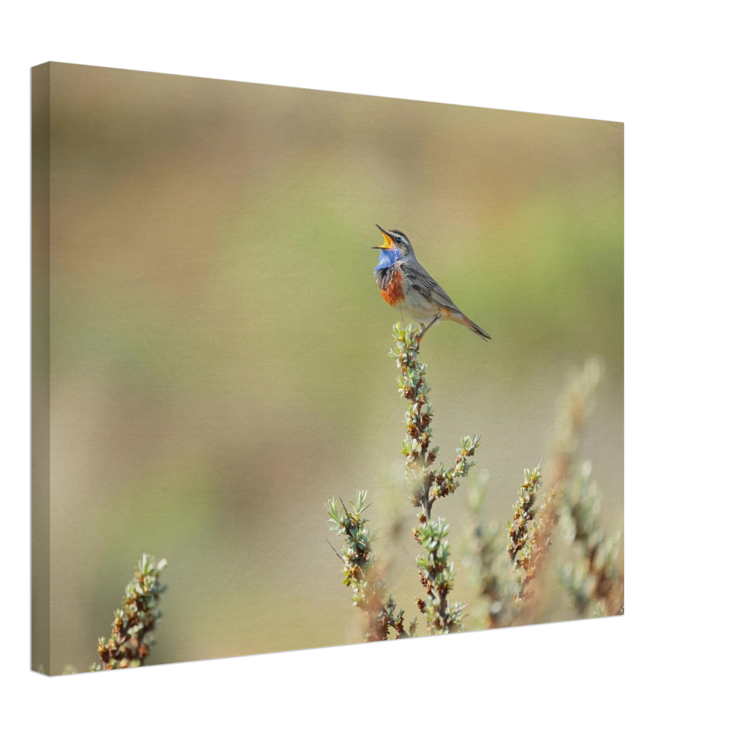 Wandbild der ruf der wildnis ein lebhaftes vogelportraet