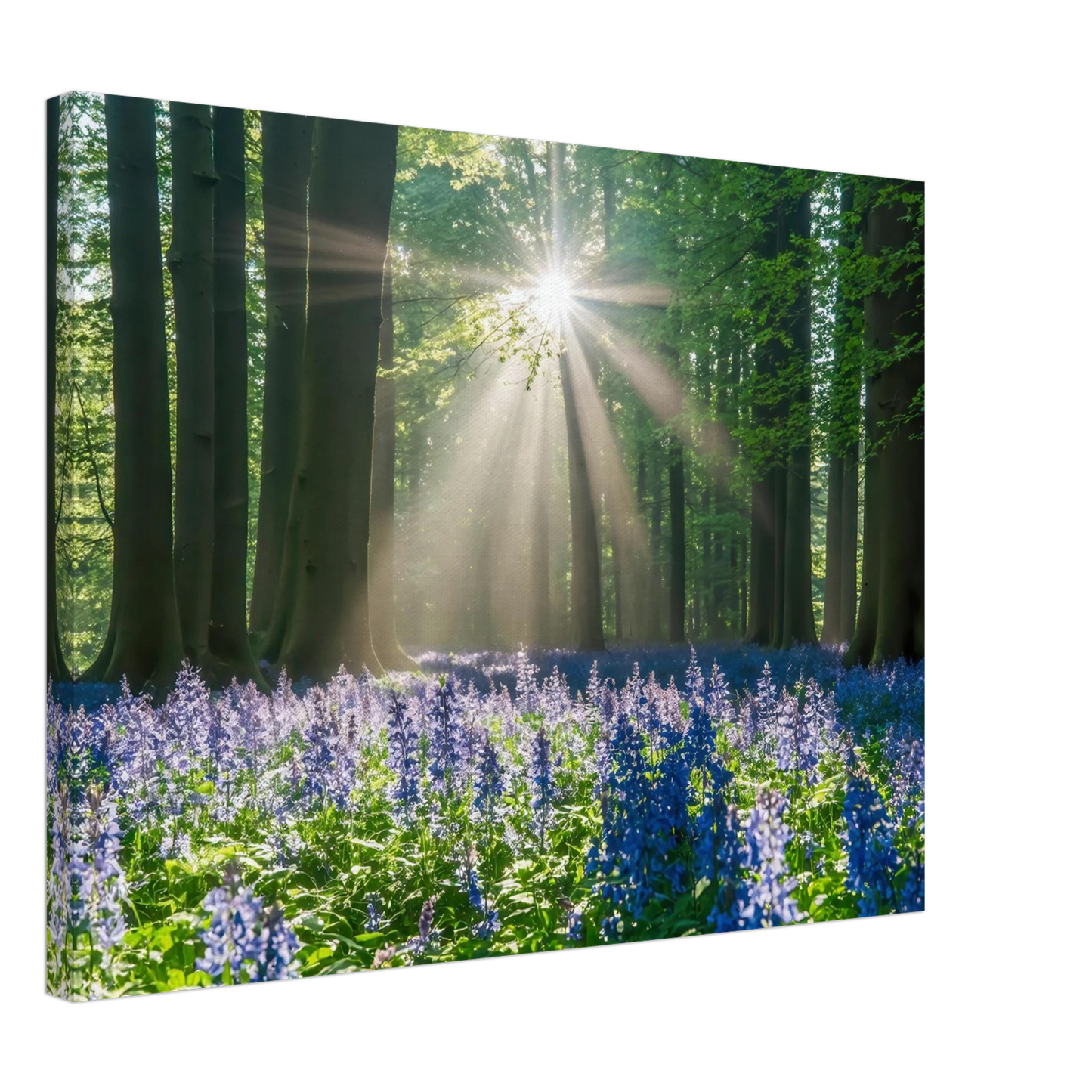 Wandbild bezaubernder wald mit sonnenstrahlen und lila bluetenmeer dein stueck natur
