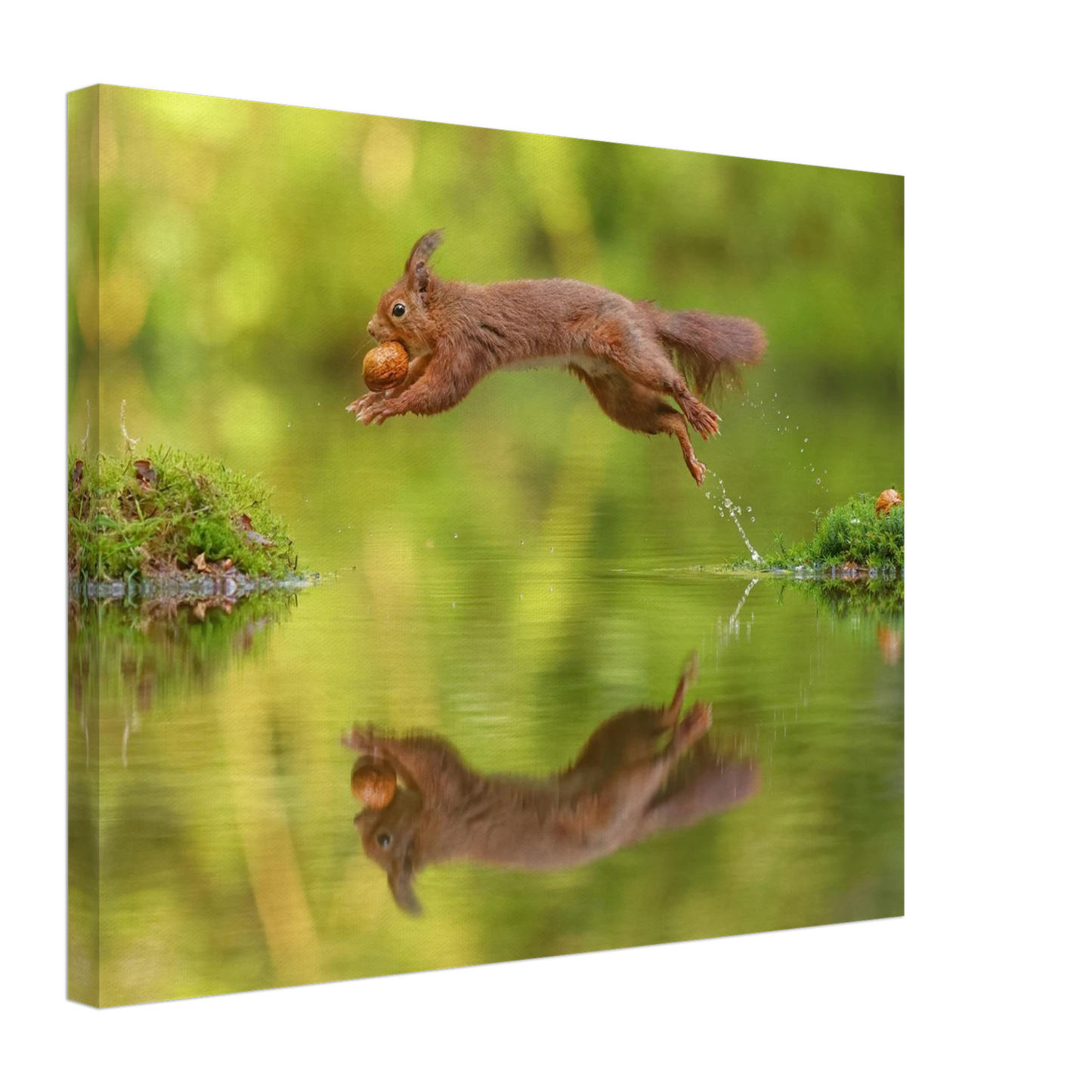 Wandbild eichhoernchen dynamisches wildtier poster mit lebendigen gruentoenen erhaeltlich in verschiedenen groessen