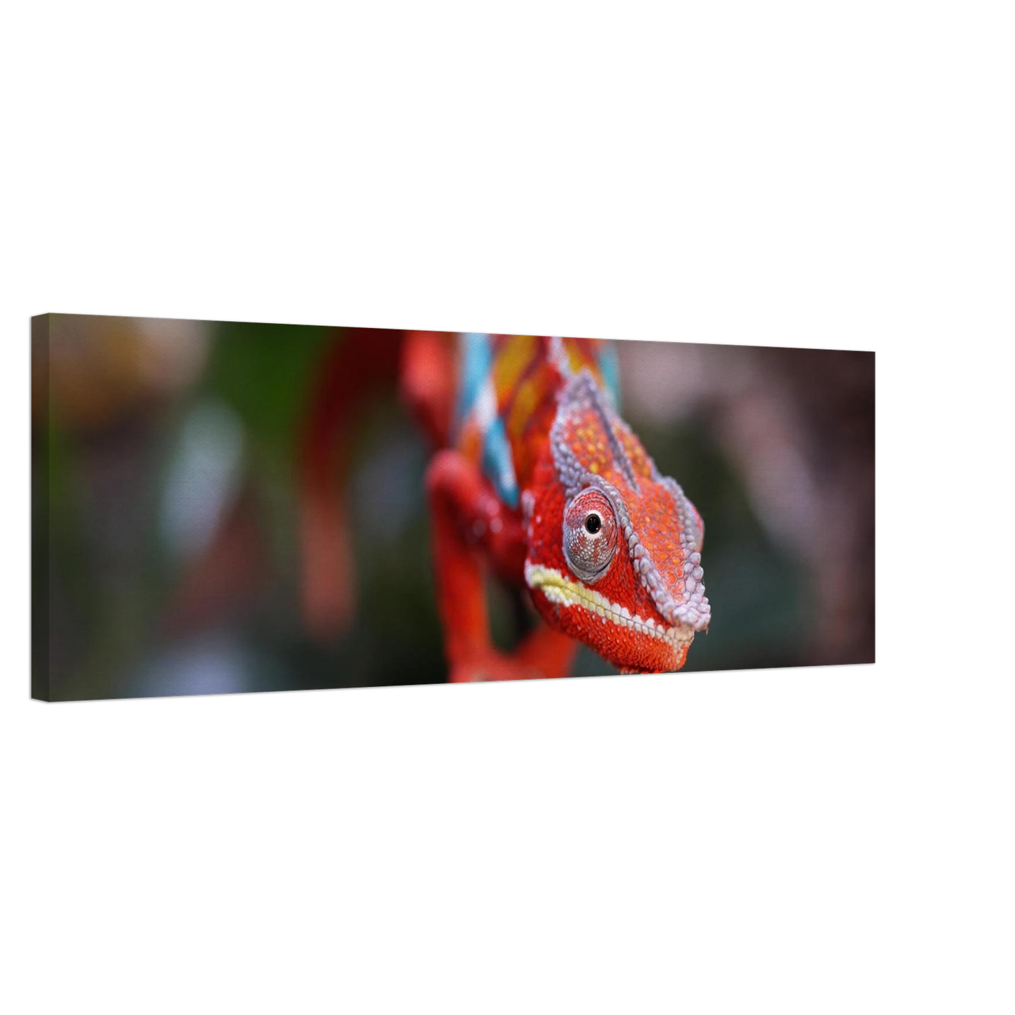 Wandbild faszinierendes chamaeleon portraet lebendige tierkunst fuer ihr zuhause in ihrer wunschgroesse