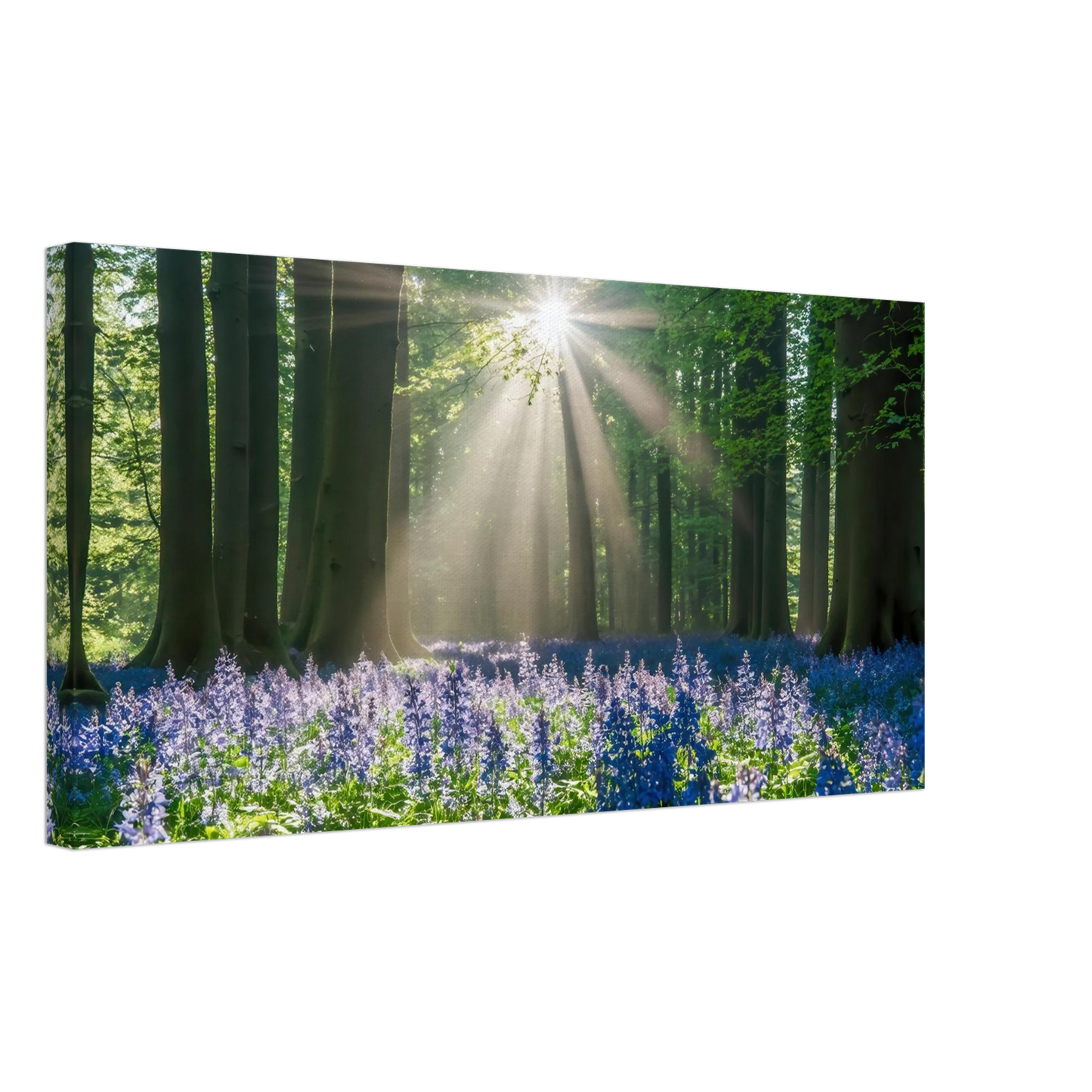 Wandbild bezaubernder wald mit sonnenstrahlen und lila bluetenmeer dein stueck natur