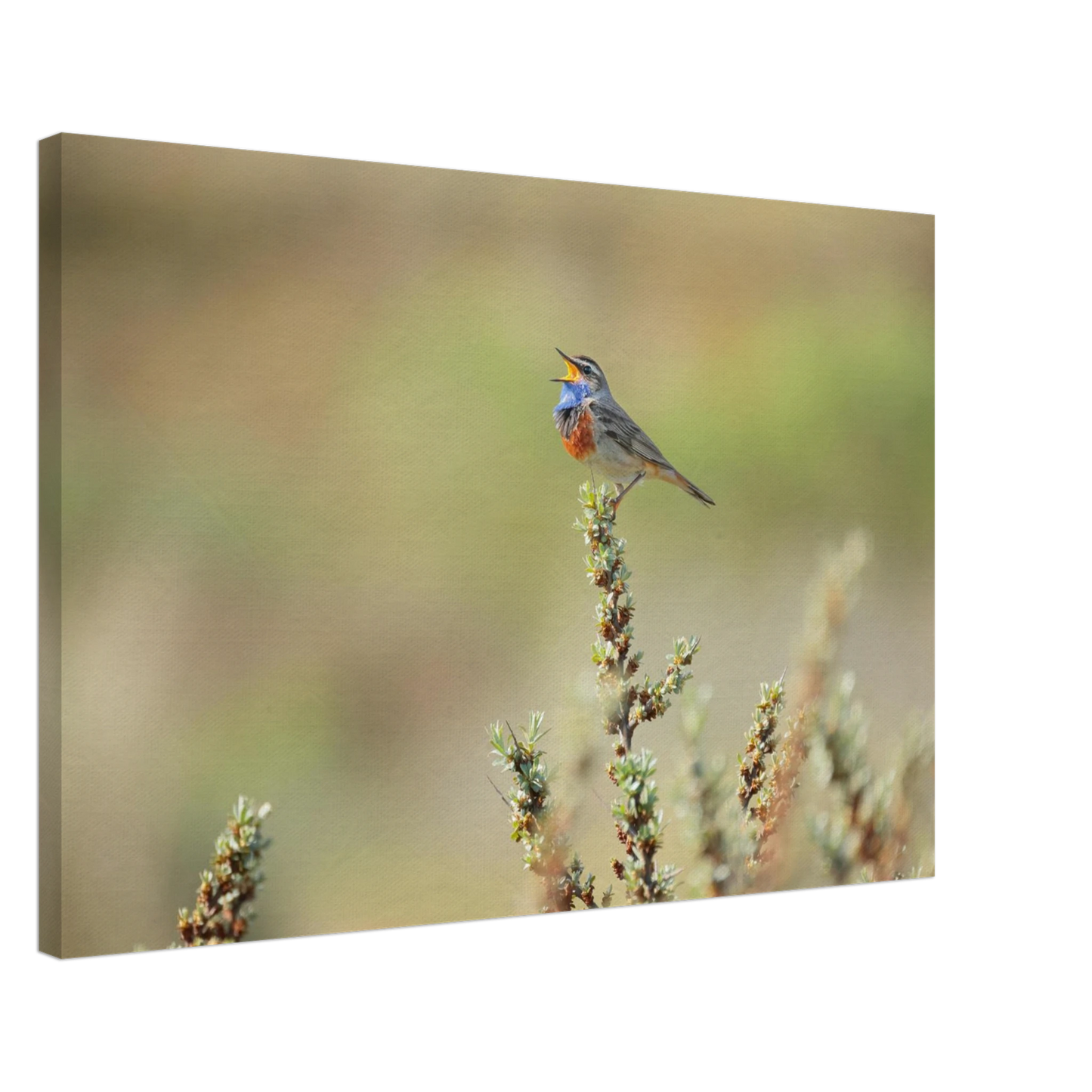 Wandbild der ruf der wildnis ein lebhaftes vogelportraet