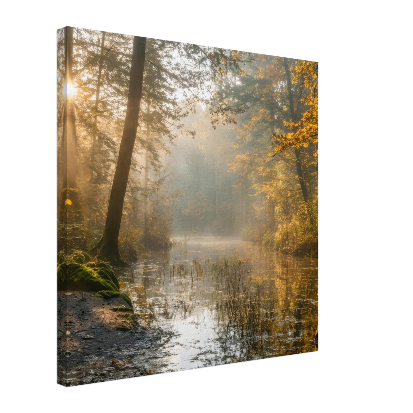 Wandbild Herbstwald morgenlicht wandbild goldenes ambiente in deiner wunschgroesse