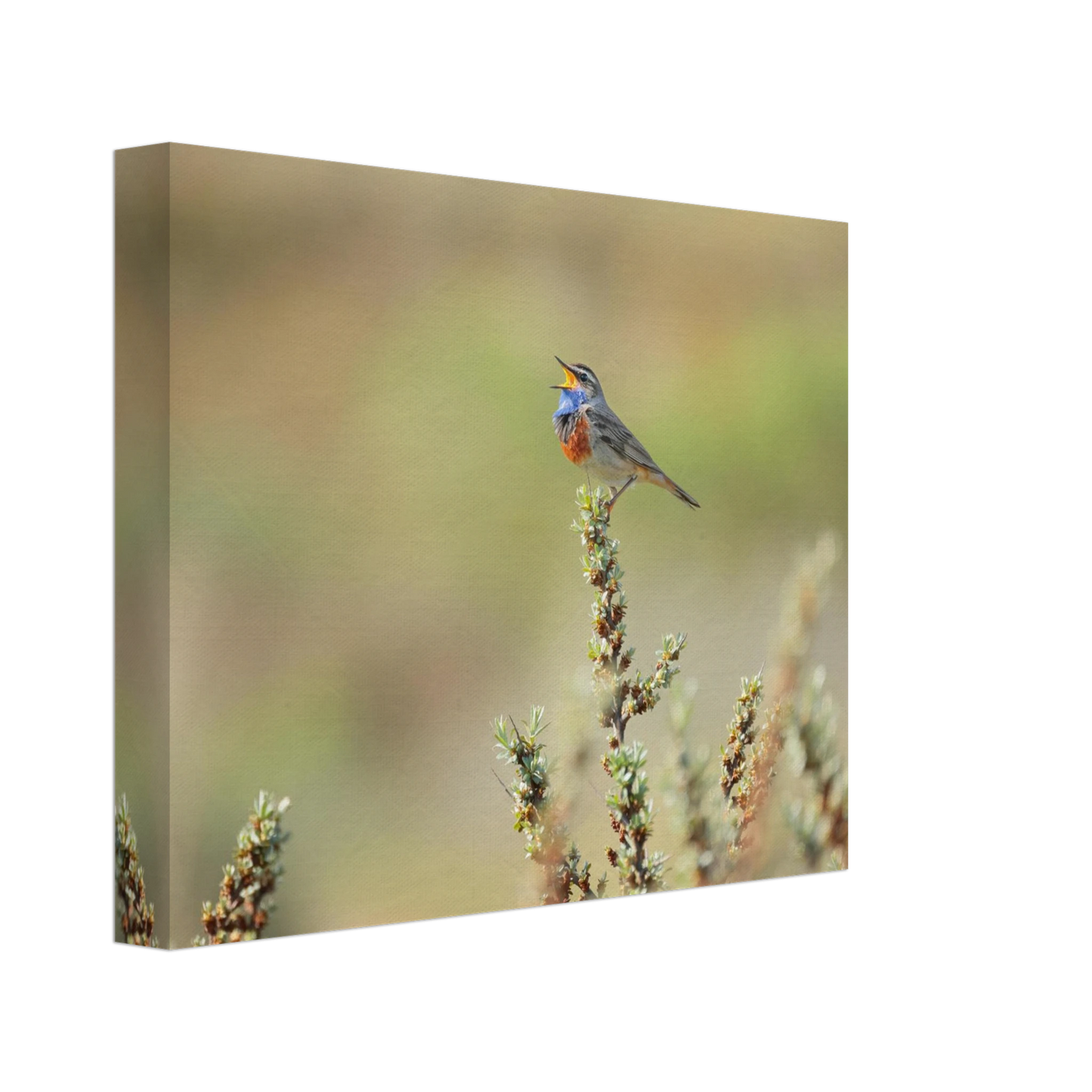 Wandbild der ruf der wildnis ein lebhaftes vogelportraet