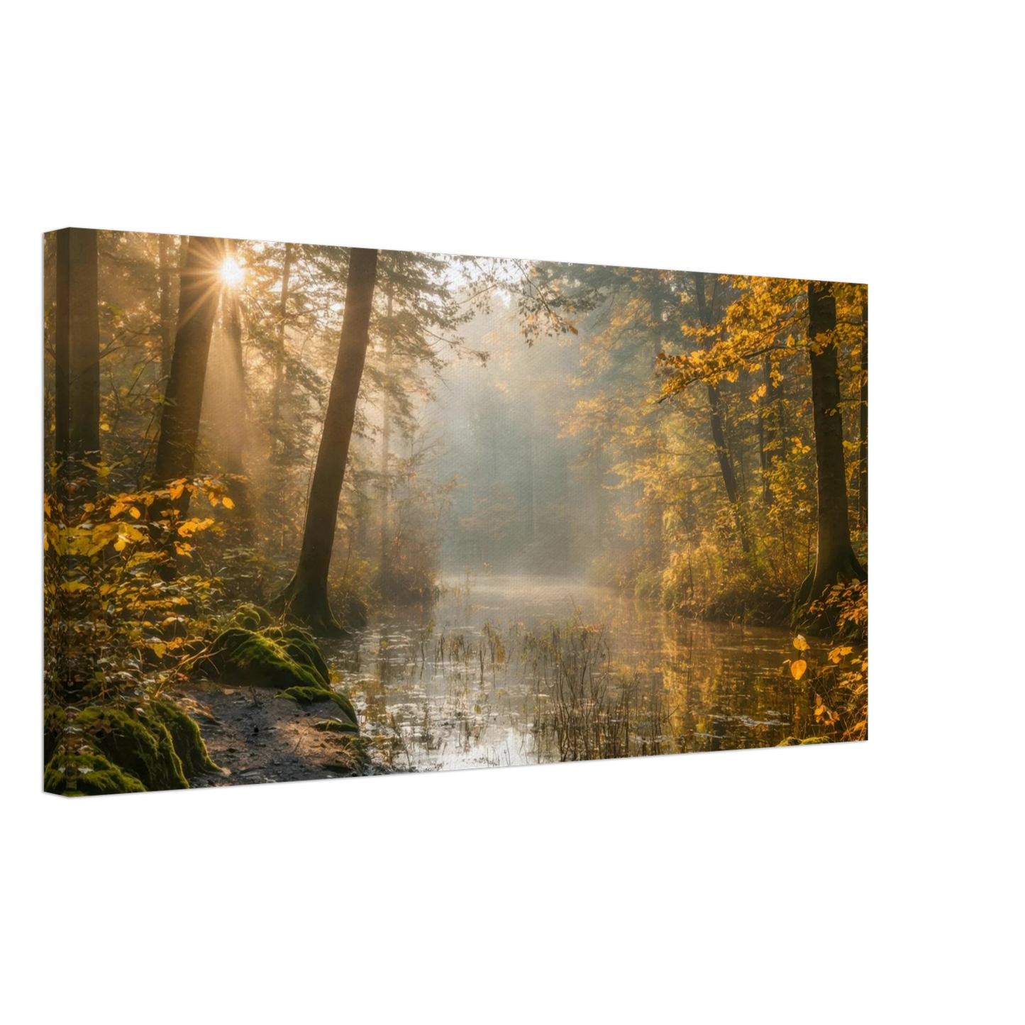 Wandbild Herbstwald morgenlicht wandbild goldenes ambiente in deiner wunschgroesse
