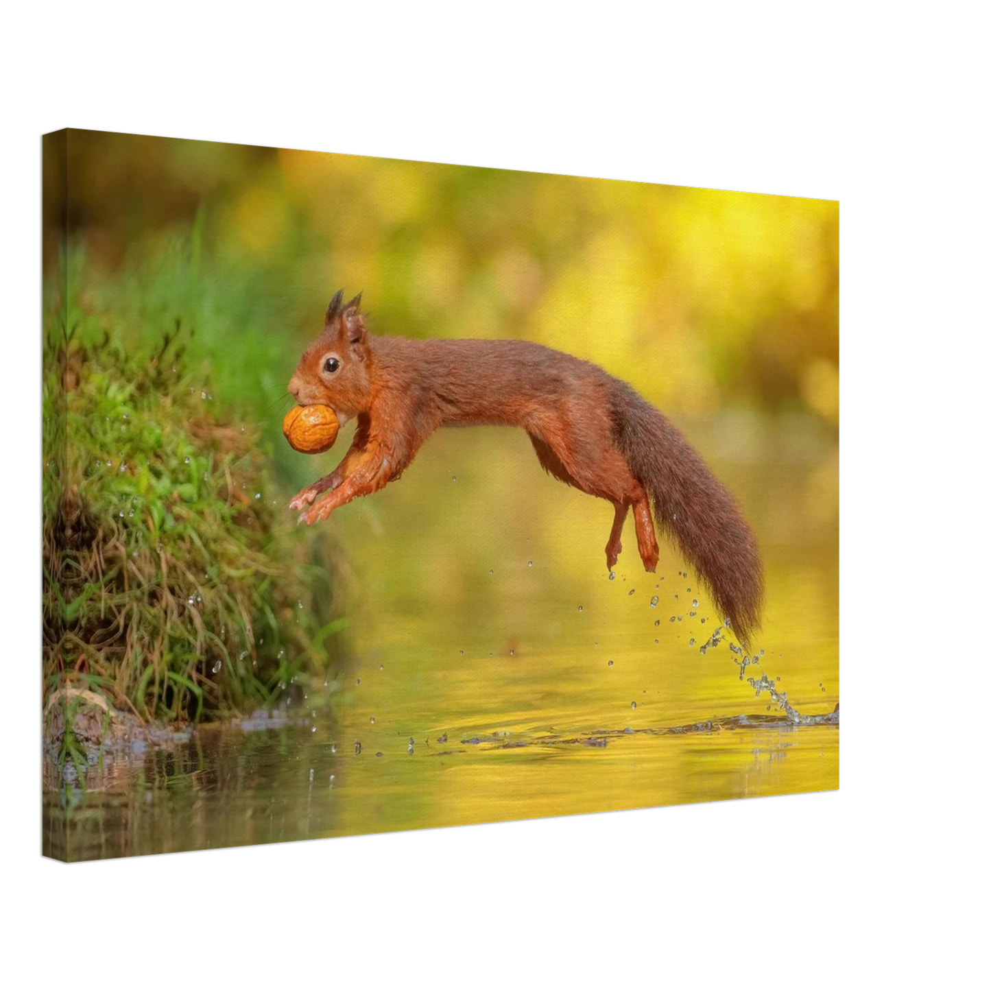 Wandbild eichhoernchen mit nuss dynamische tierkunst in leuchtenden herbstfarben