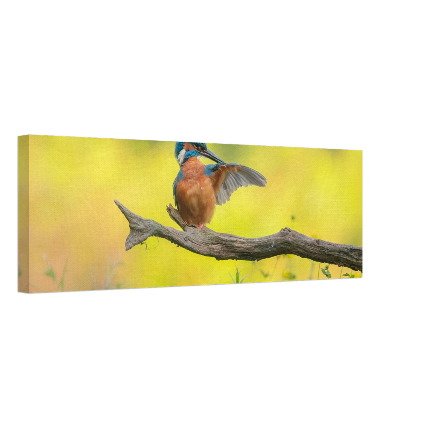 Wandbild eisvogel lebendige naturkunst fuer ihr zuhause