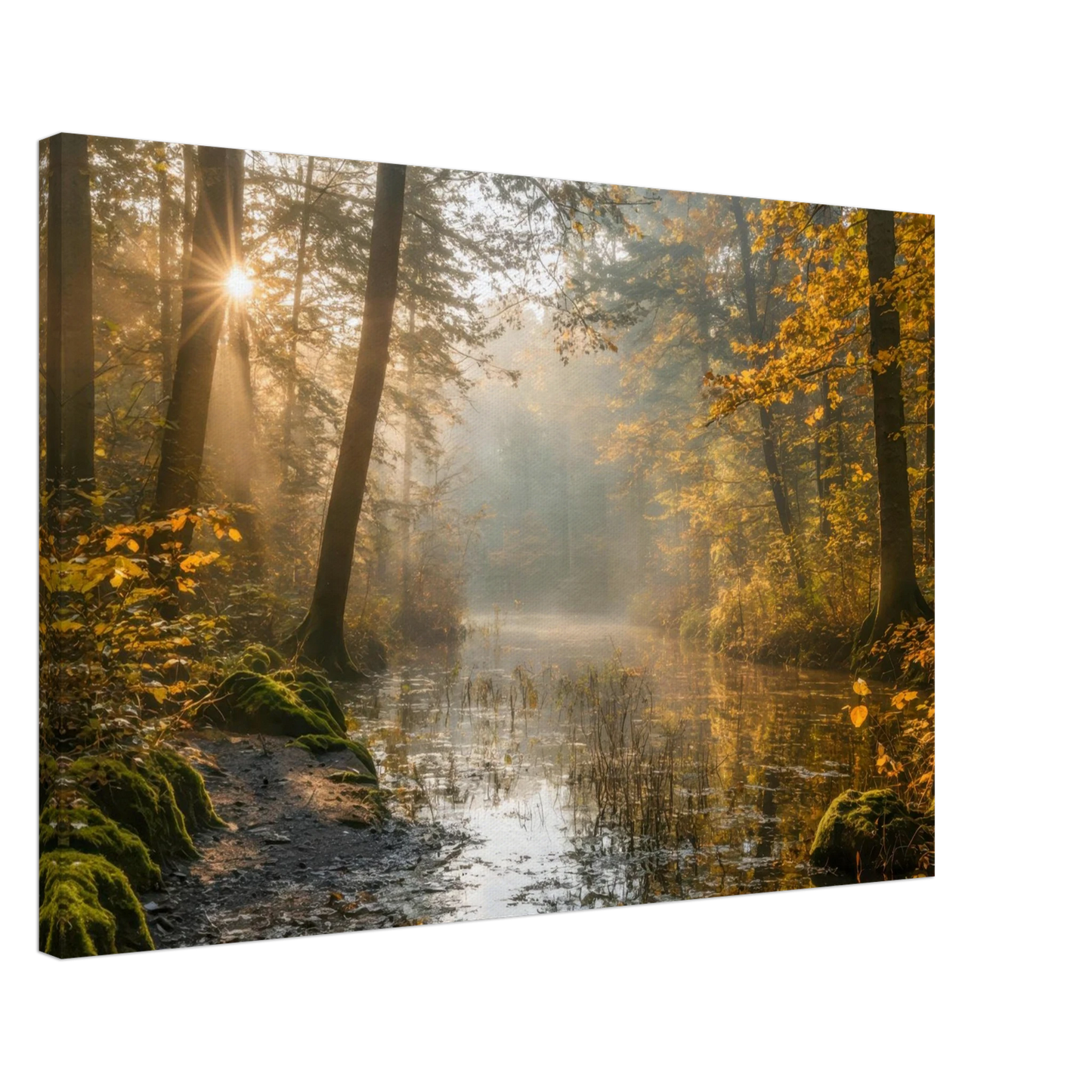 Wandbild Herbstwald morgenlicht wandbild goldenes ambiente in deiner wunschgroesse