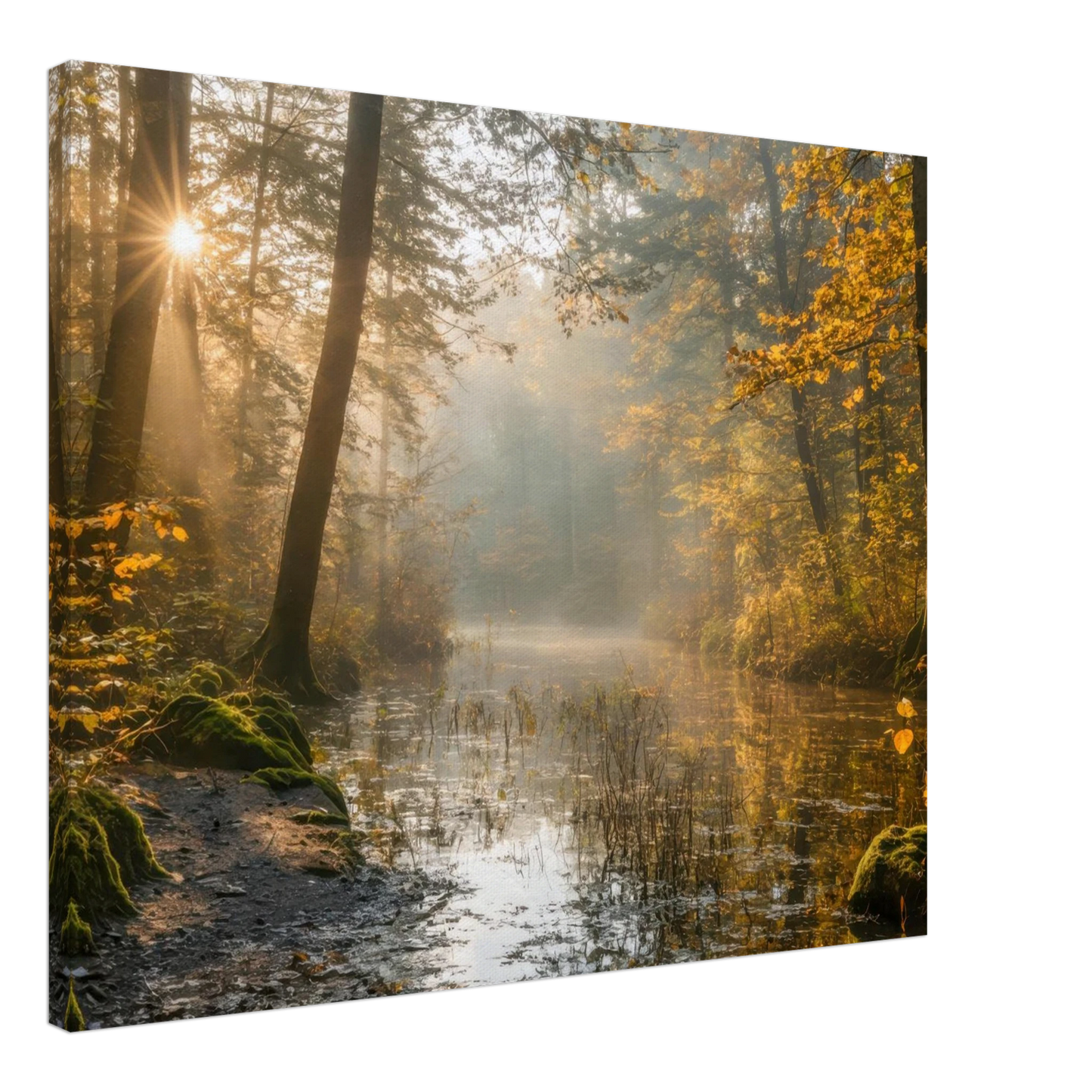 Wandbild Herbstwald morgenlicht wandbild goldenes ambiente in deiner wunschgroesse