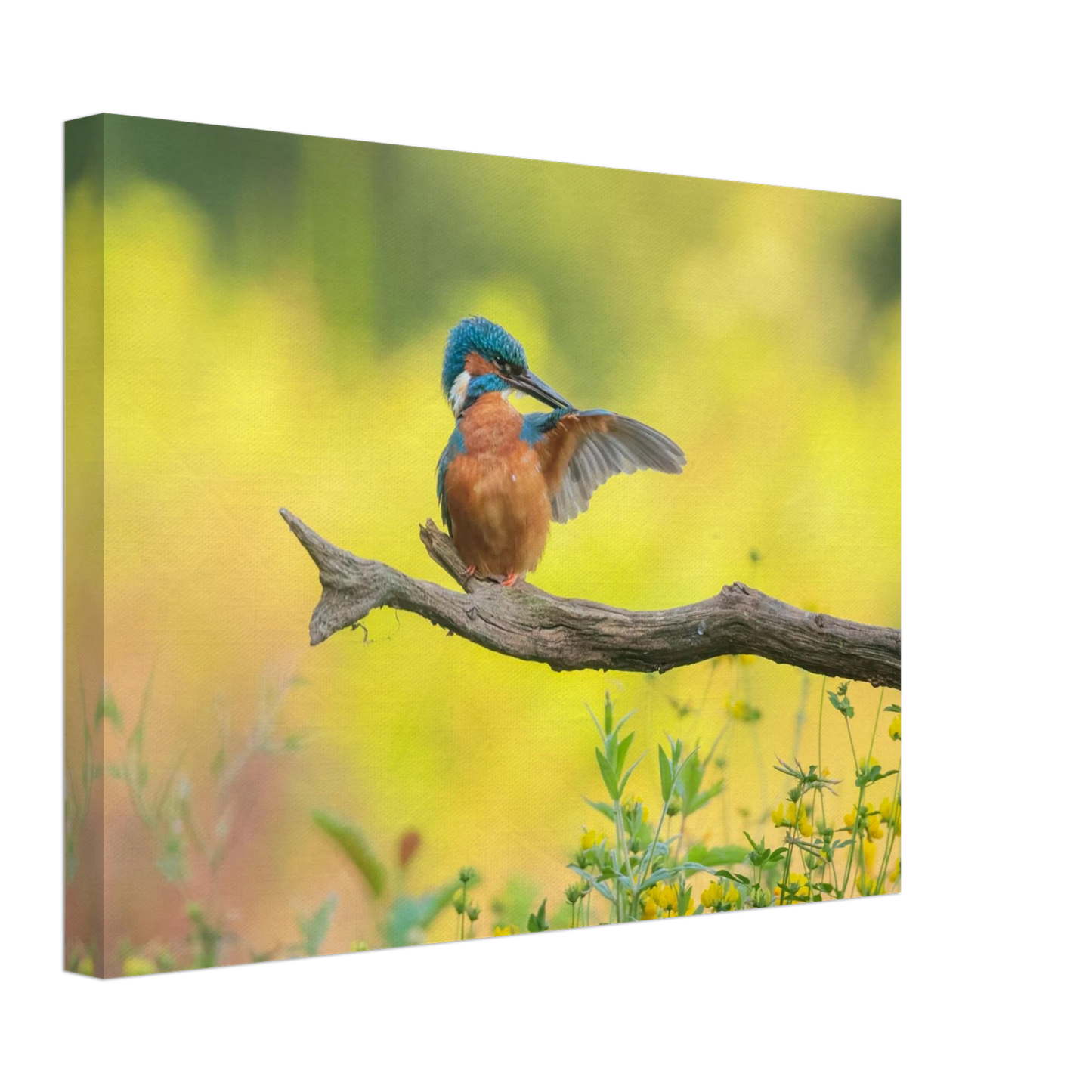 Wandbild eisvogel lebendige naturkunst fuer ihr zuhause