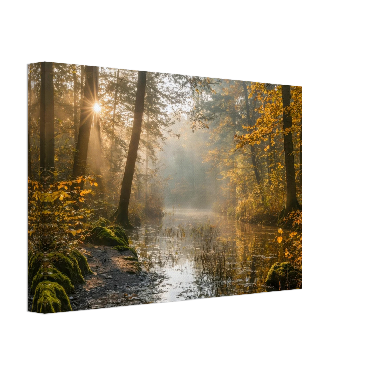 Wandbild Herbstwald morgenlicht wandbild goldenes ambiente in deiner wunschgroesse