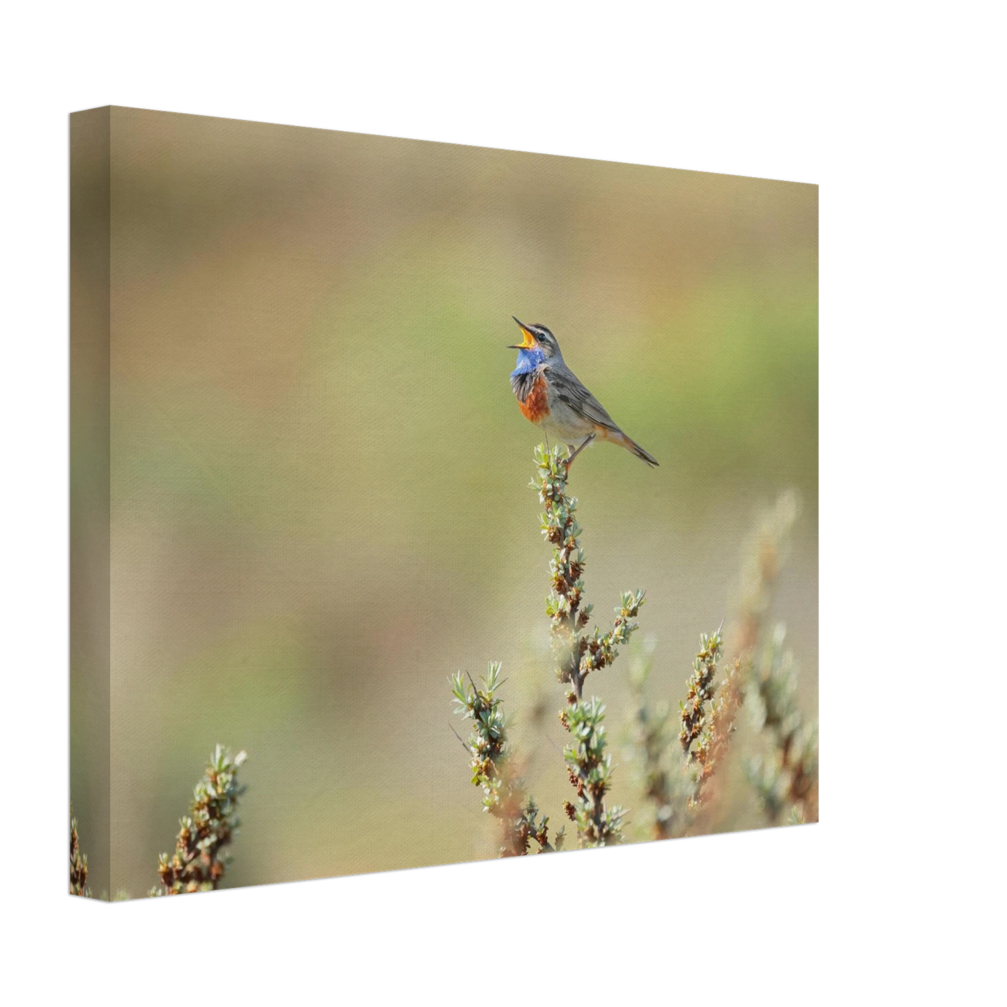 Wandbild der ruf der wildnis ein lebhaftes vogelportraet