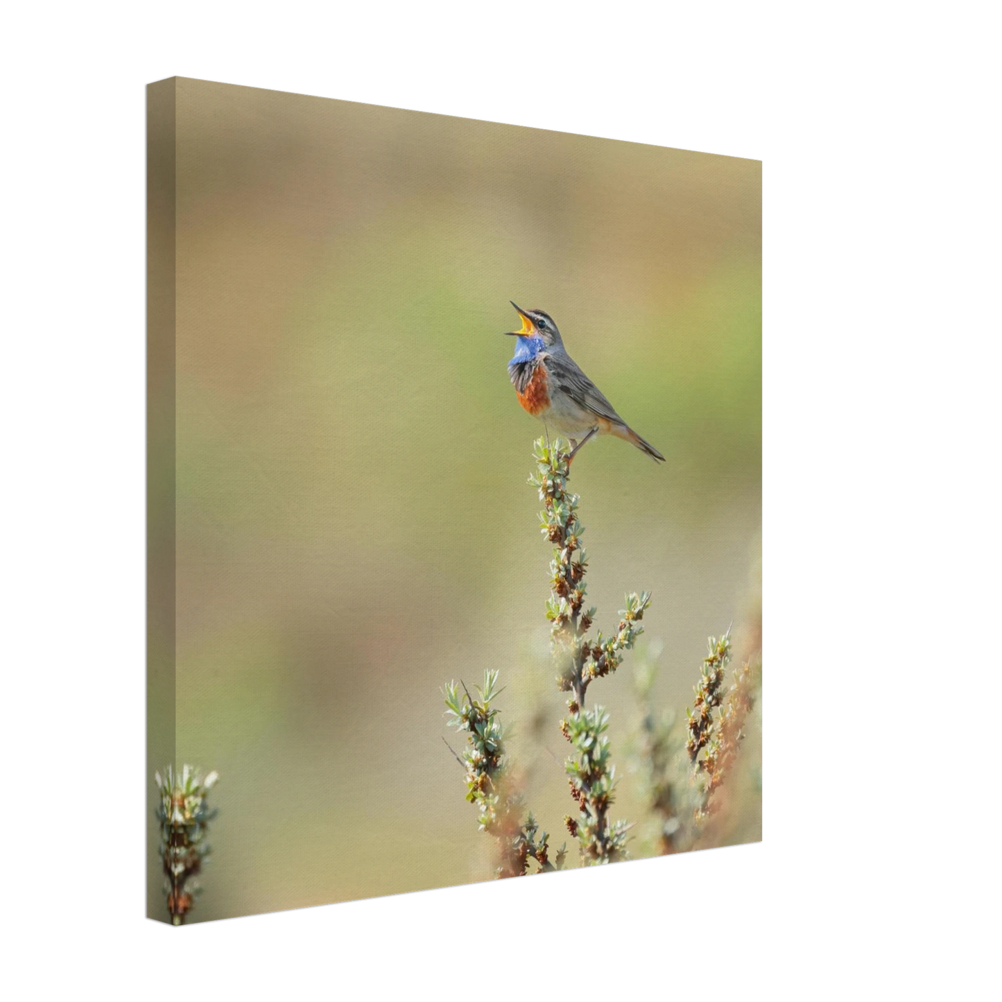 Wandbild der ruf der wildnis ein lebhaftes vogelportraet