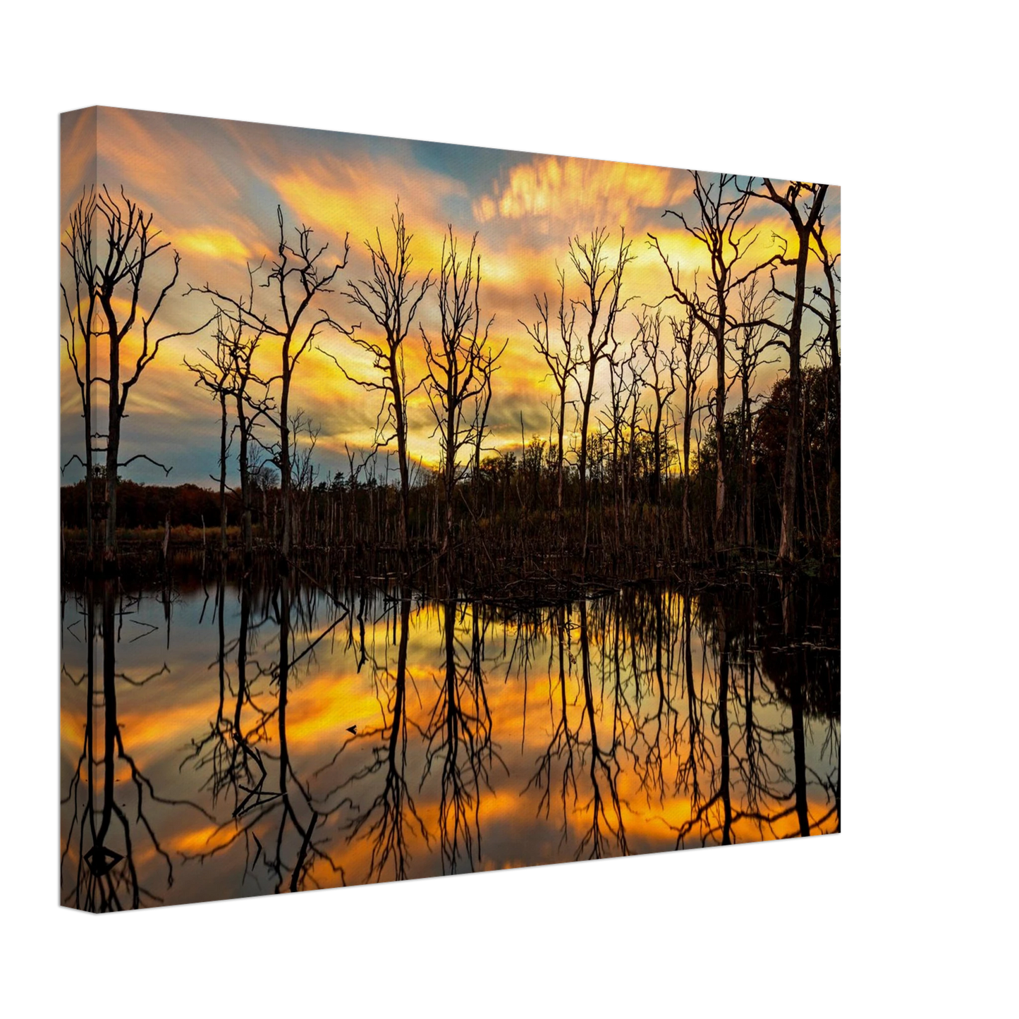 Wandbild mystischer sonnenuntergang ueber dem baumsee lebendige kunstdrucke in vielen groessen
