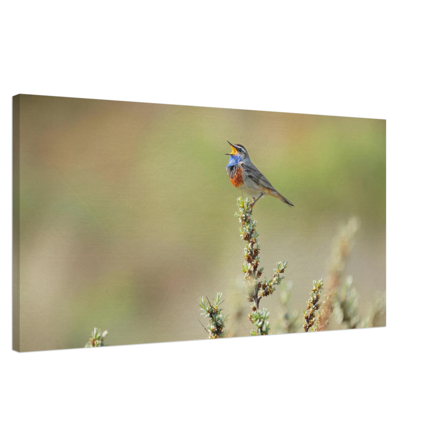 Wandbild der ruf der wildnis ein lebhaftes vogelportraet
