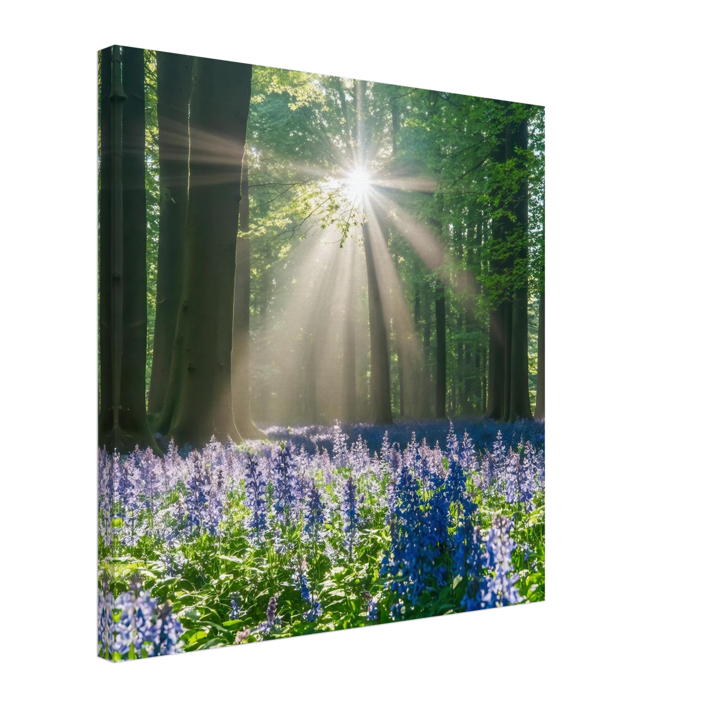 Wandbild bezaubernder wald mit sonnenstrahlen und lila bluetenmeer dein stueck natur