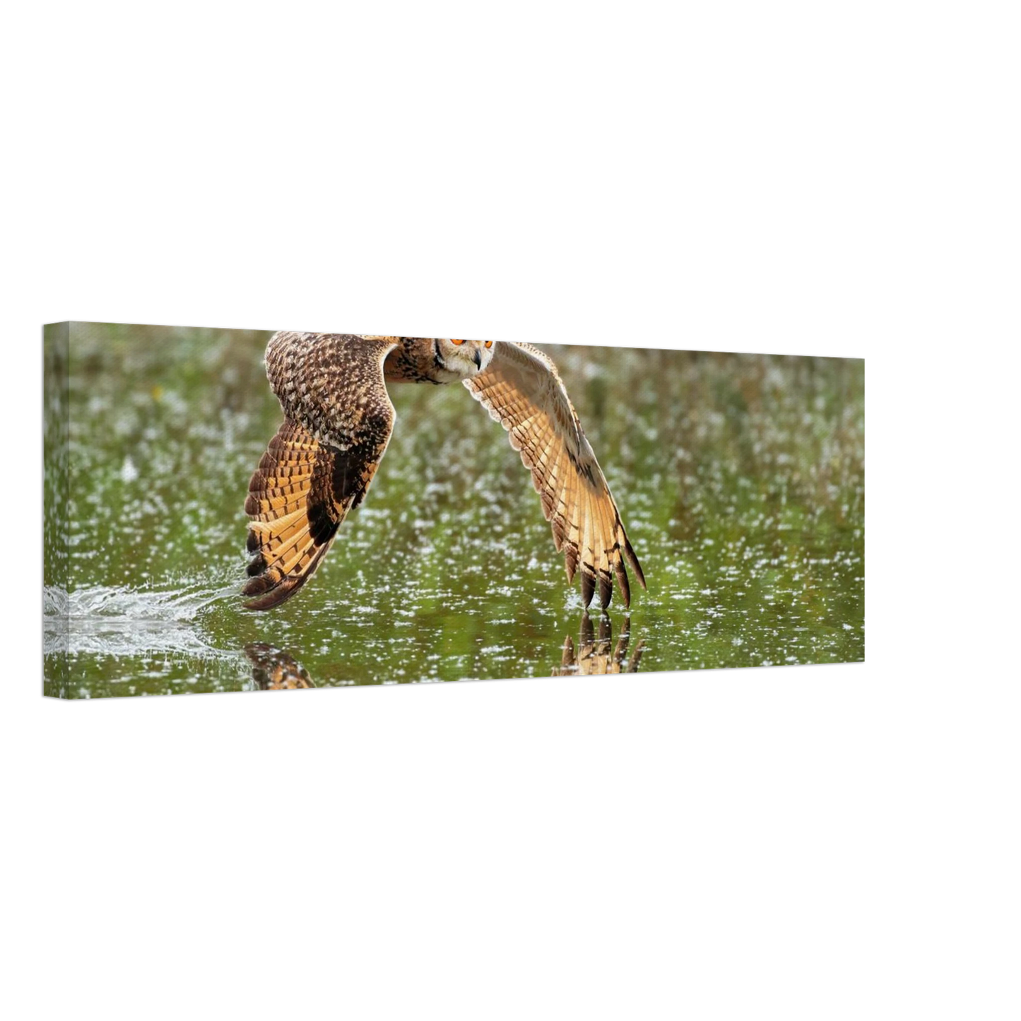 Wandbild majestaetische eule im flug naturfotografie mit lebendigen orangetoenen in ihrer wunschgroesse