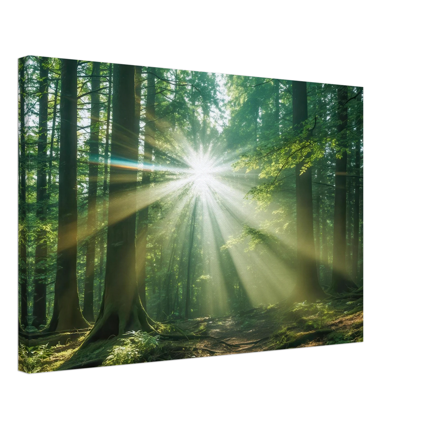 Wandbild sonnenstrahlen im wald mystisches waldlicht kunstdruck in ihrer wunschgroesse