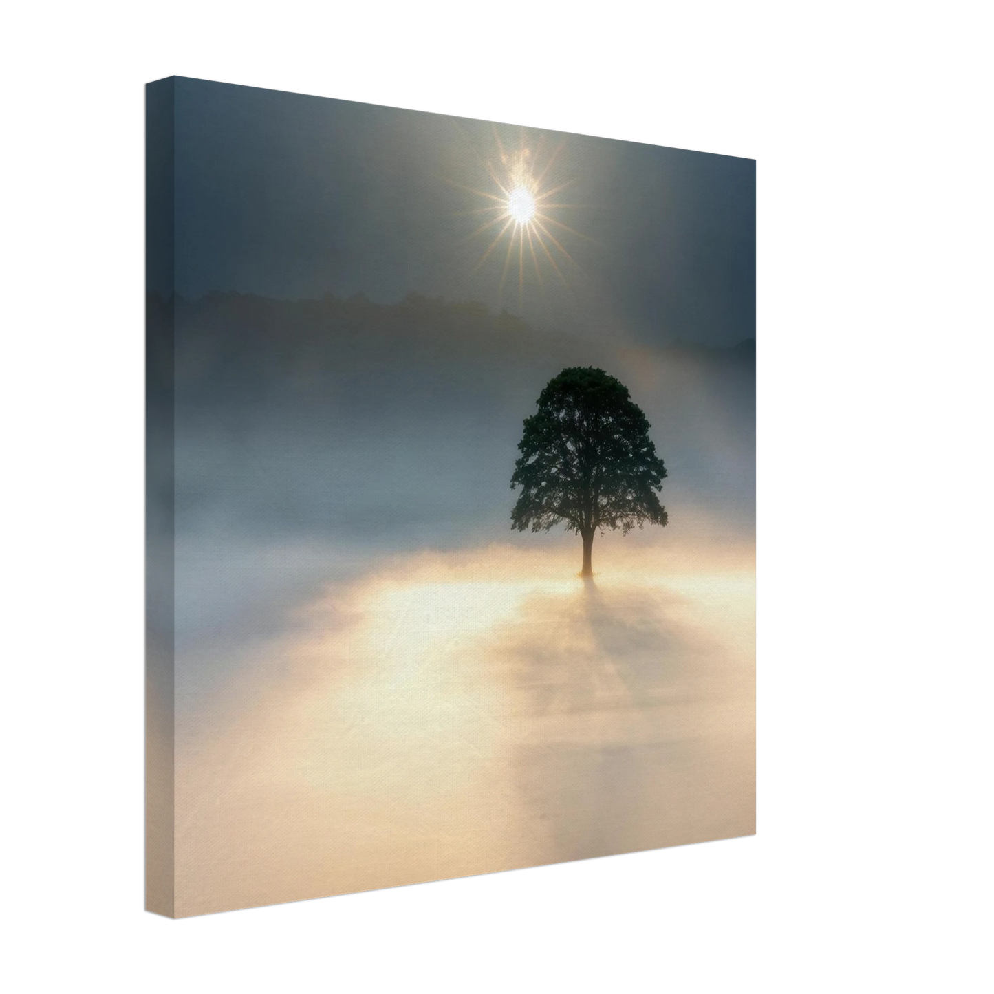 Wandbild mystisches baum wandbild einzelner baum im nebel sonnenaufgang waehlbar in verschiedenen groessen