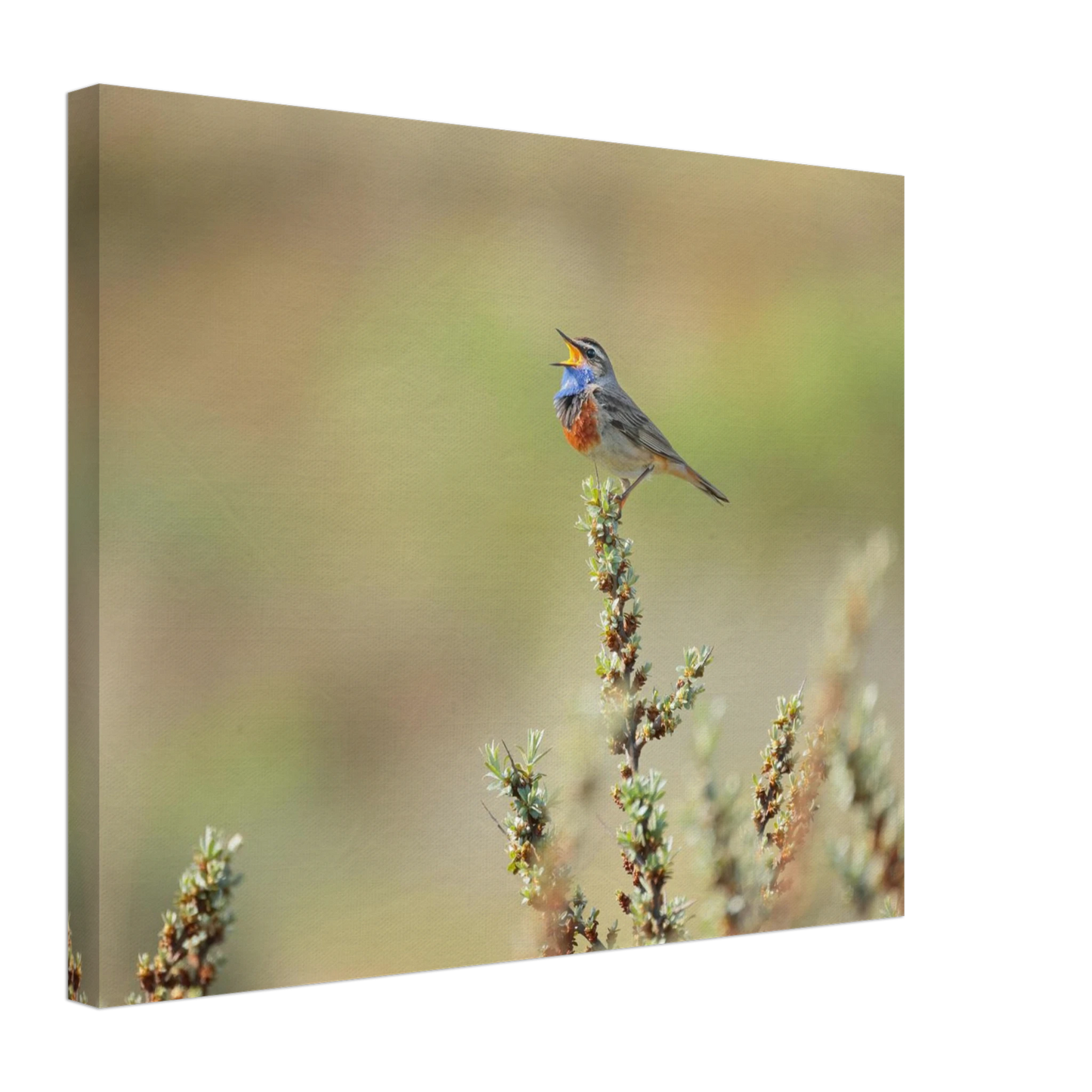 Wandbild der ruf der wildnis ein lebhaftes vogelportraet