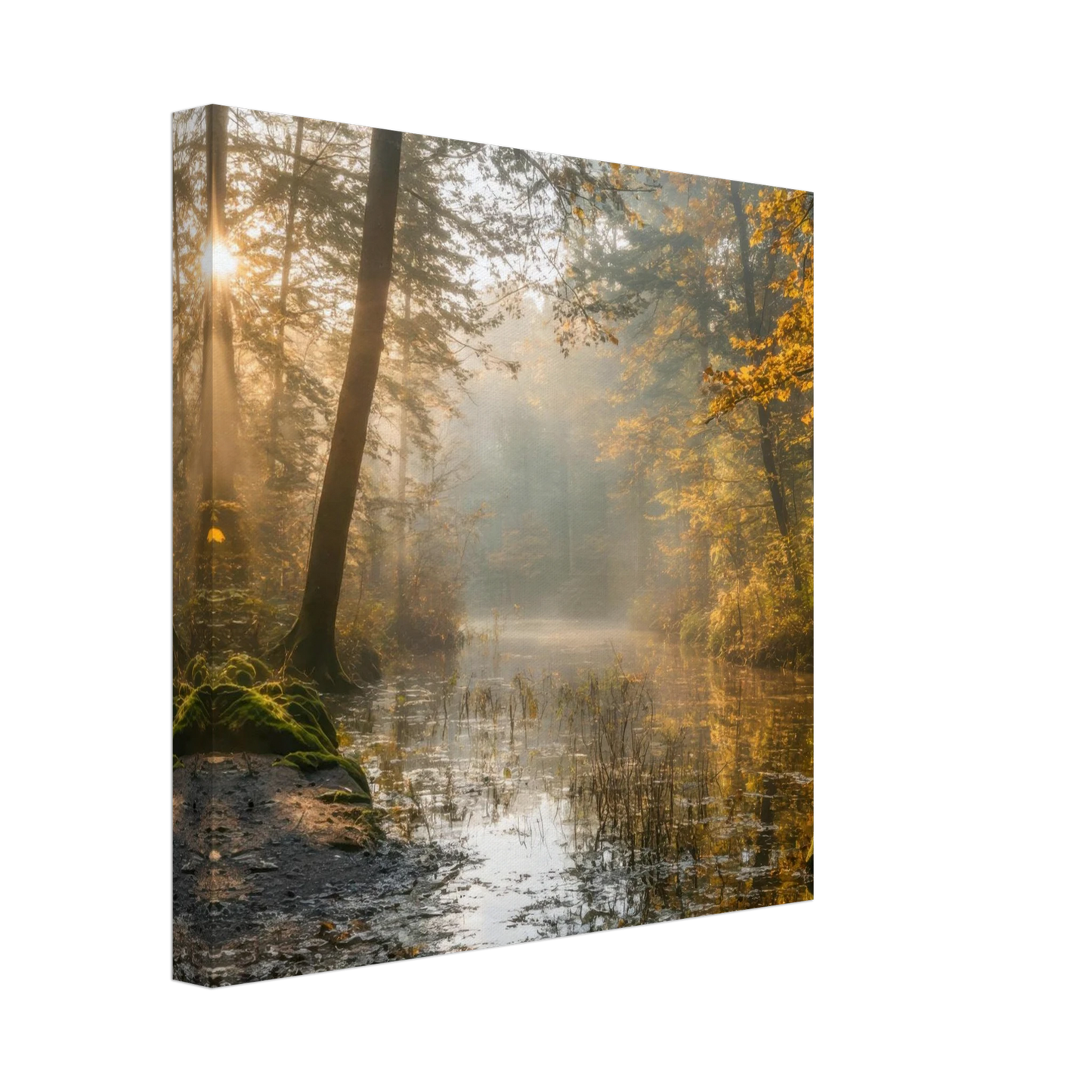 Wandbild Herbstwald morgenlicht wandbild goldenes ambiente in deiner wunschgroesse