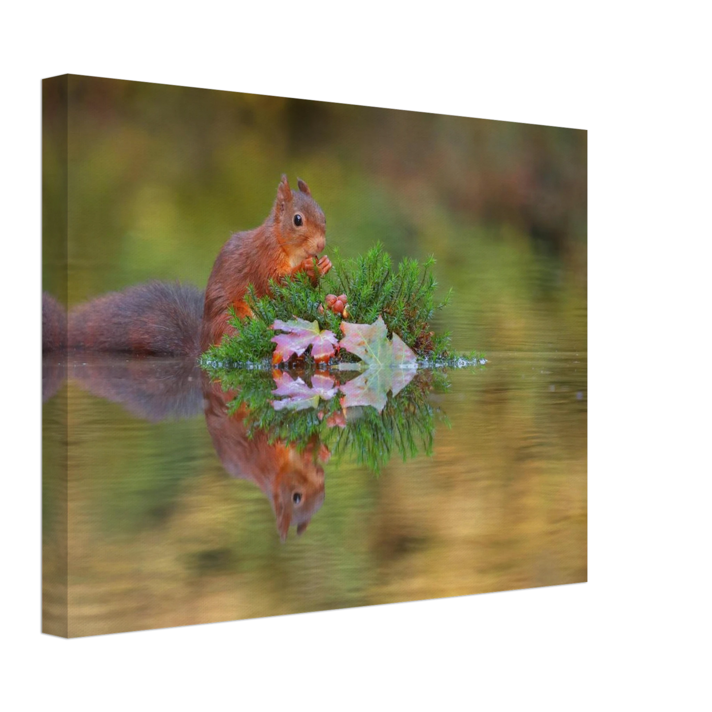 Wandbild bezauberndes eichhoernchen im herbstwald lebendige wildtierkunst fuer ihr zuhause in vielen groessen