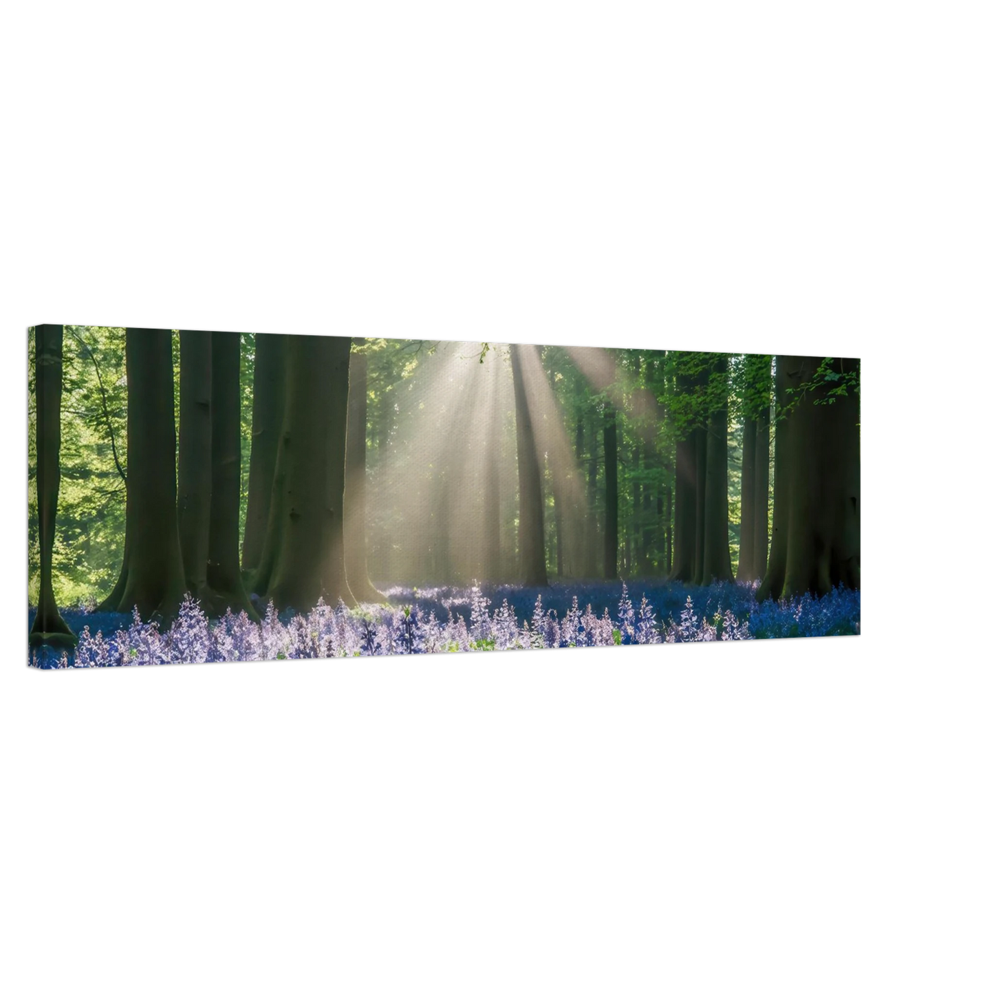 Wandbild bezaubernder wald mit sonnenstrahlen und lila bluetenmeer dein stueck natur