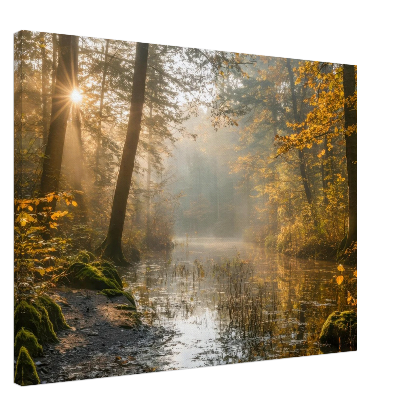 Wandbild Herbstwald morgenlicht wandbild goldenes ambiente in deiner wunschgroesse