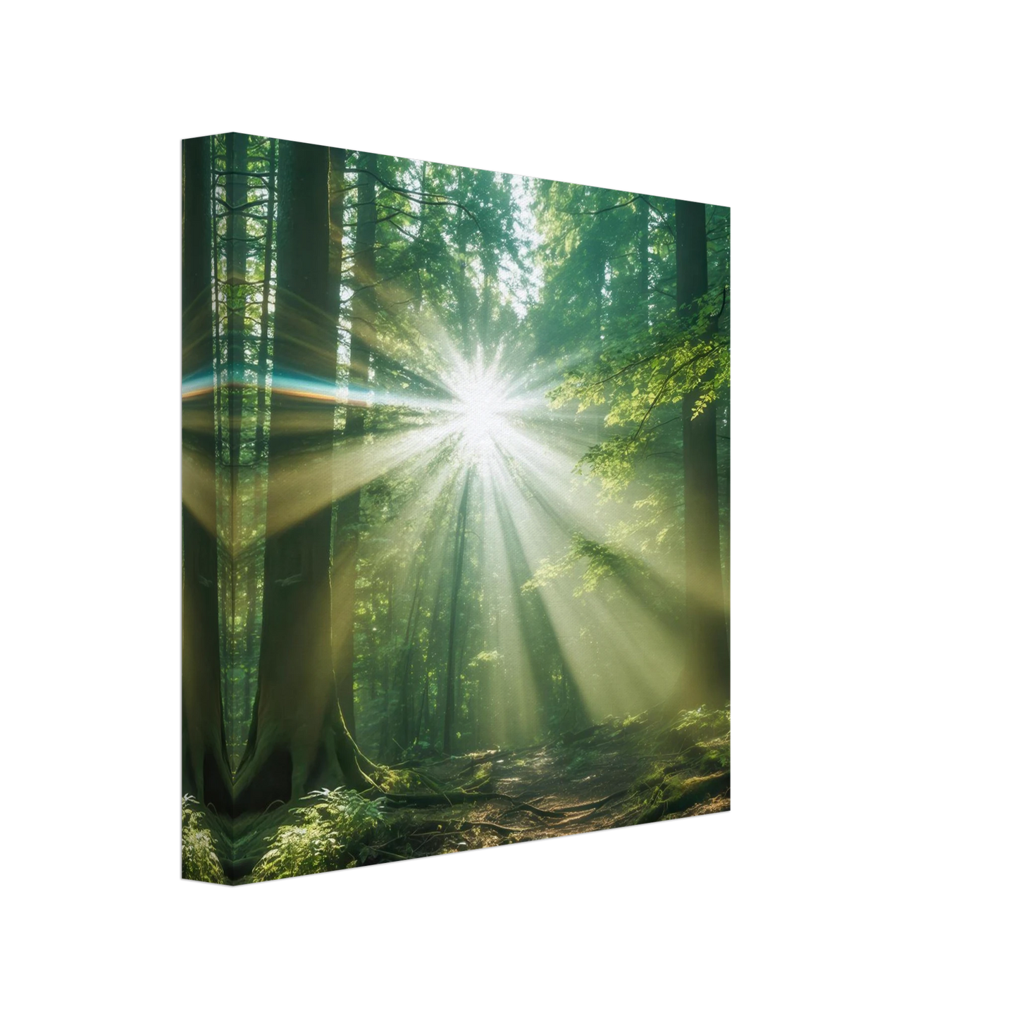 Wandbild sonnenstrahlen im wald mystisches waldlicht kunstdruck in ihrer wunschgroesse