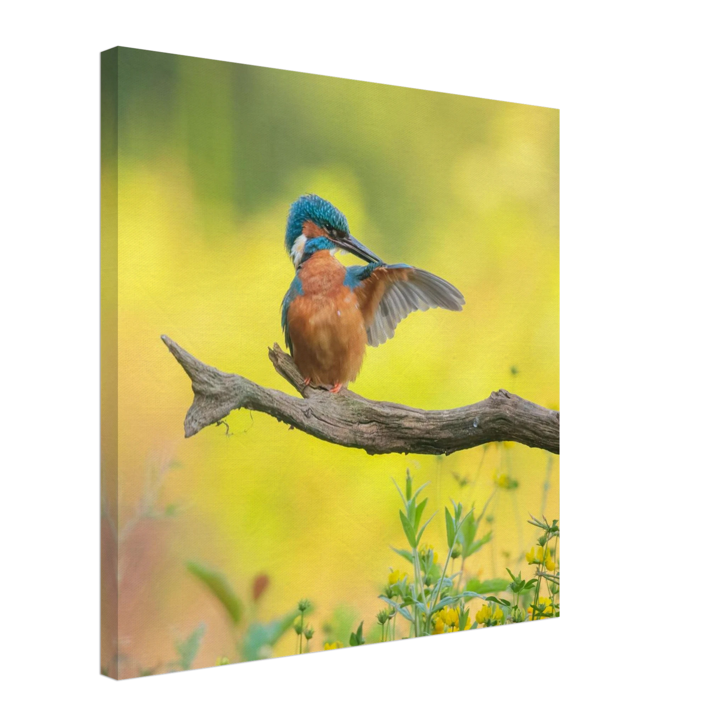 Wandbild eisvogel lebendige naturkunst fuer ihr zuhause