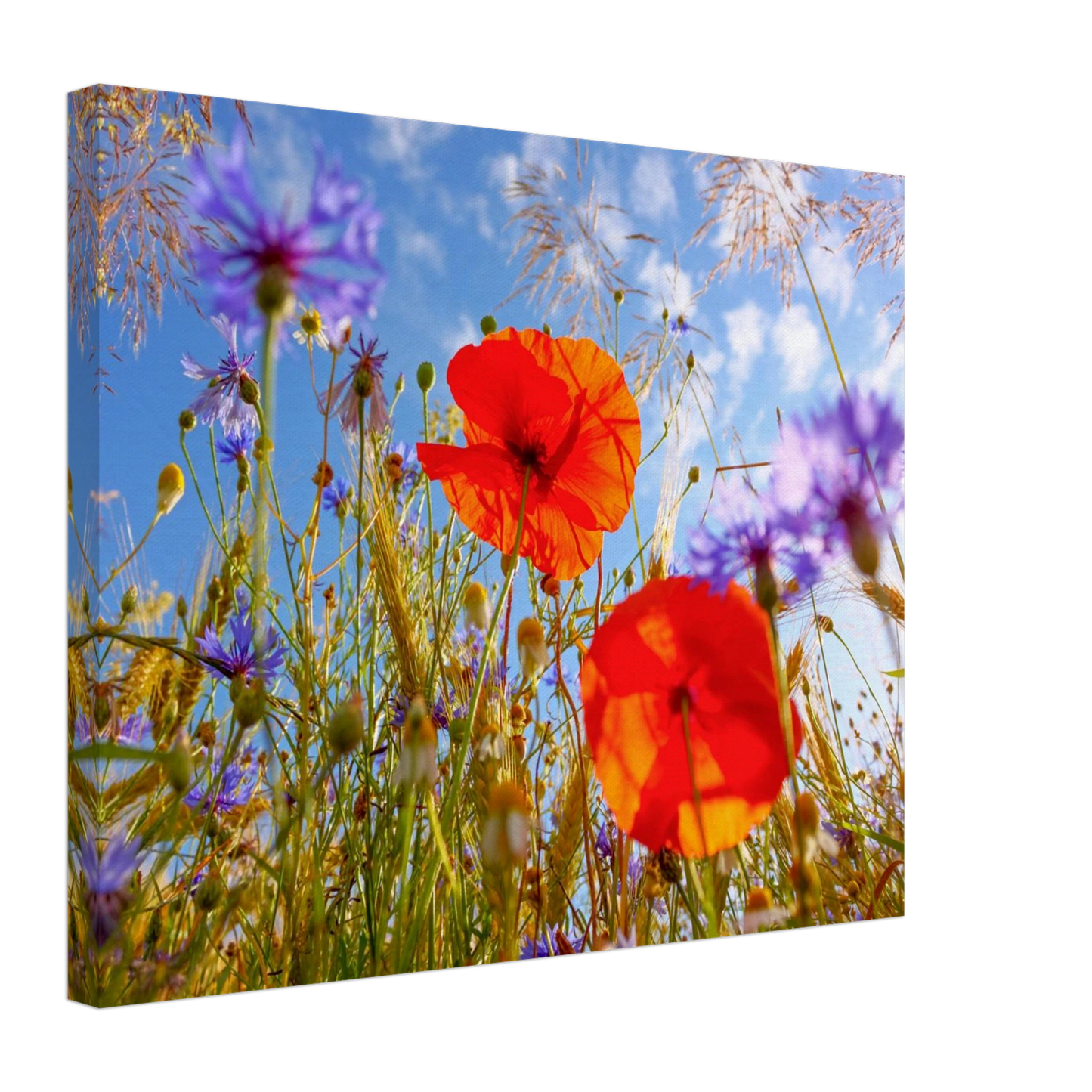 Wandbild lebendige wildblumenwiese mohnblumen kornblumen unter blauem himmel