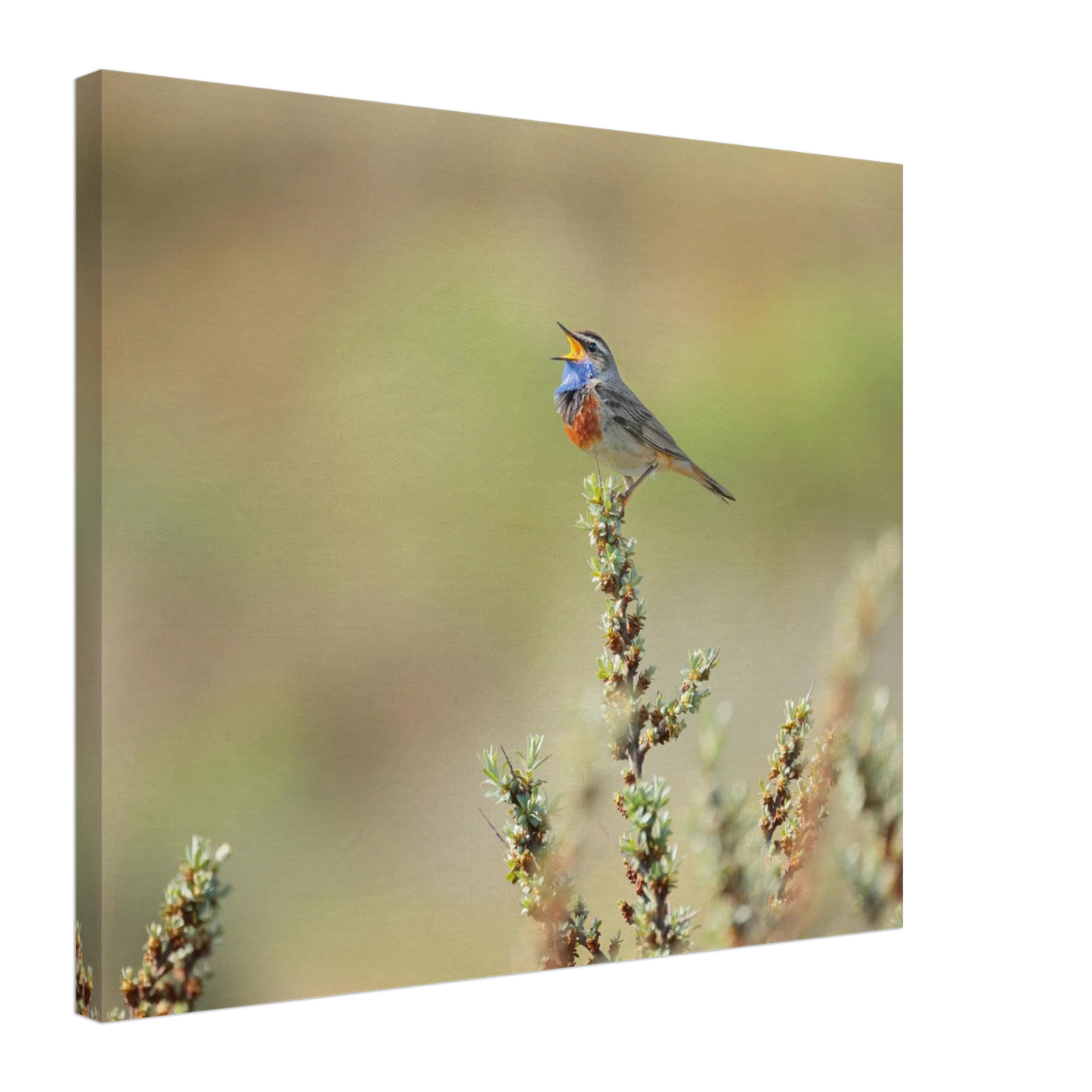Wandbild der ruf der wildnis ein lebhaftes vogelportraet