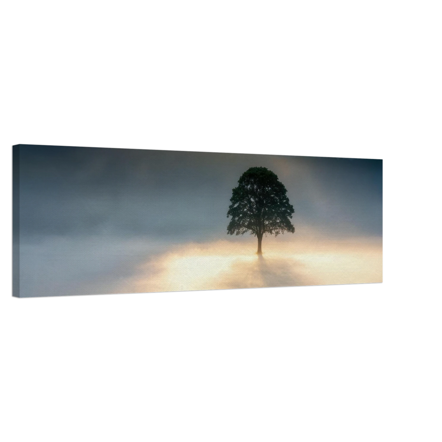 Wandbild mystisches baum wandbild einzelner baum im nebel sonnenaufgang waehlbar in verschiedenen groessen