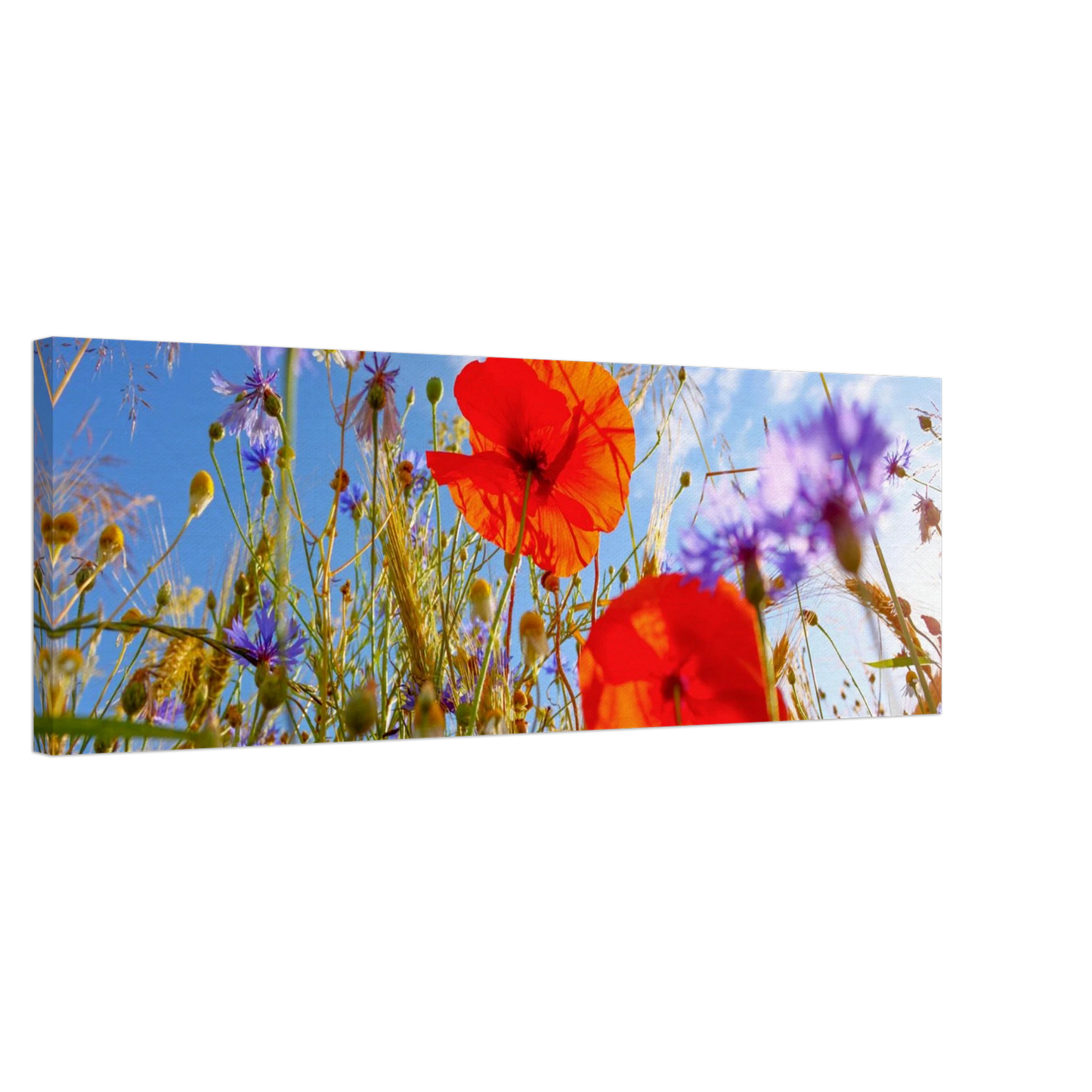 Wandbild lebendige wildblumenwiese mohnblumen kornblumen unter blauem himmel