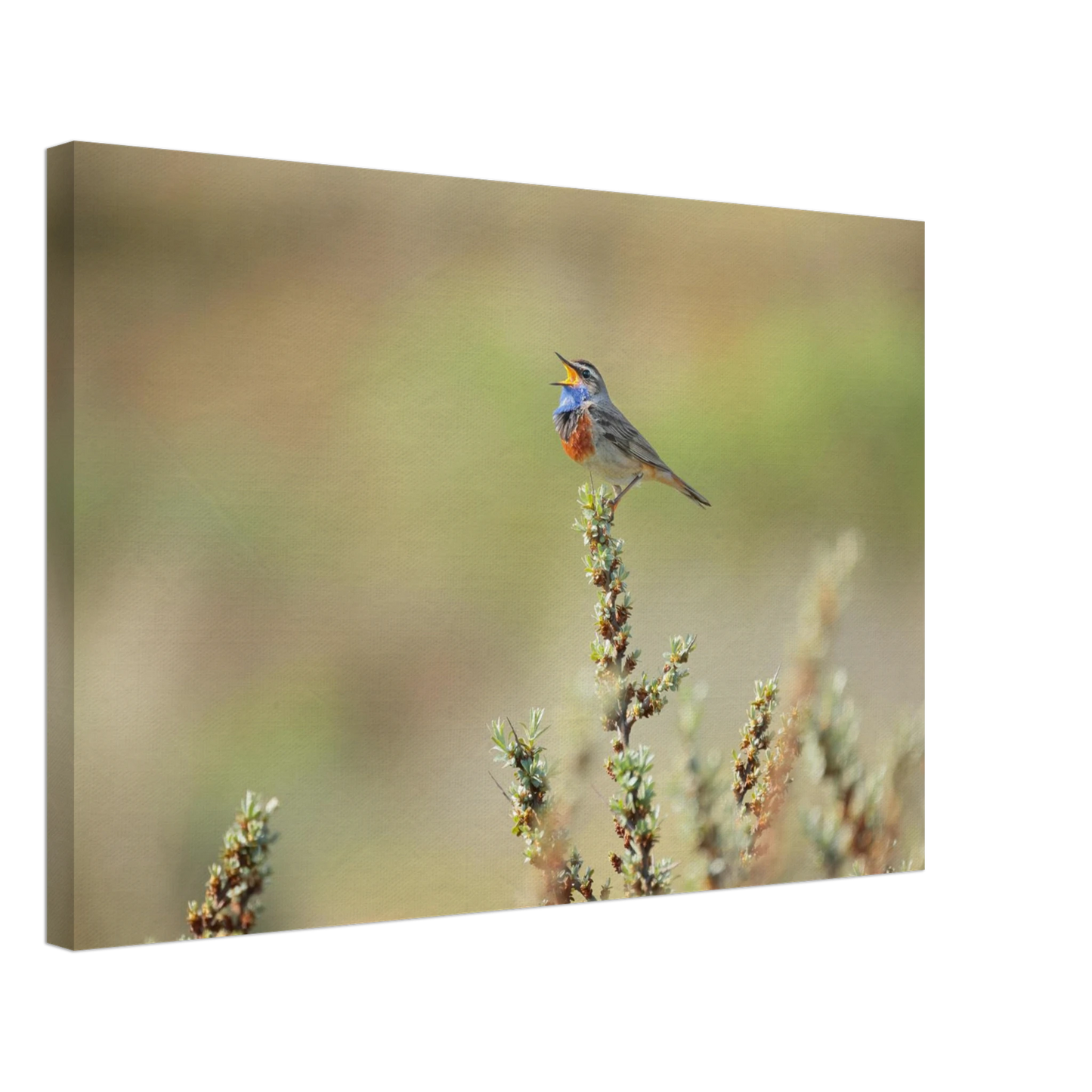 Wandbild der ruf der wildnis ein lebhaftes vogelportraet