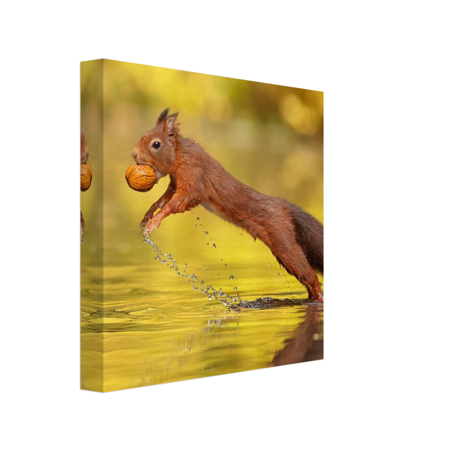 Wandbild eichhoernchen dynamische eichhoernchen kunst in lebhaften herbsttoenen