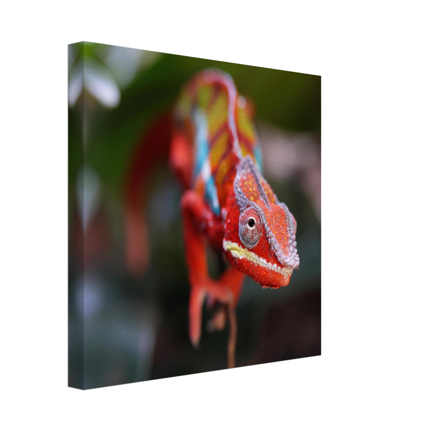 Wandbild faszinierendes chamaeleon portraet lebendige tierkunst fuer ihr zuhause in ihrer wunschgroesse