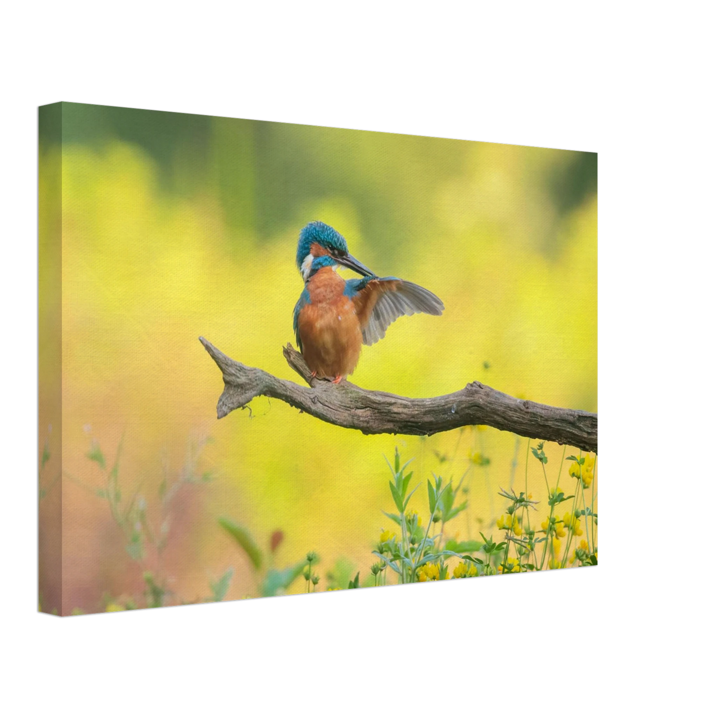 Wandbild eisvogel lebendige naturkunst fuer ihr zuhause