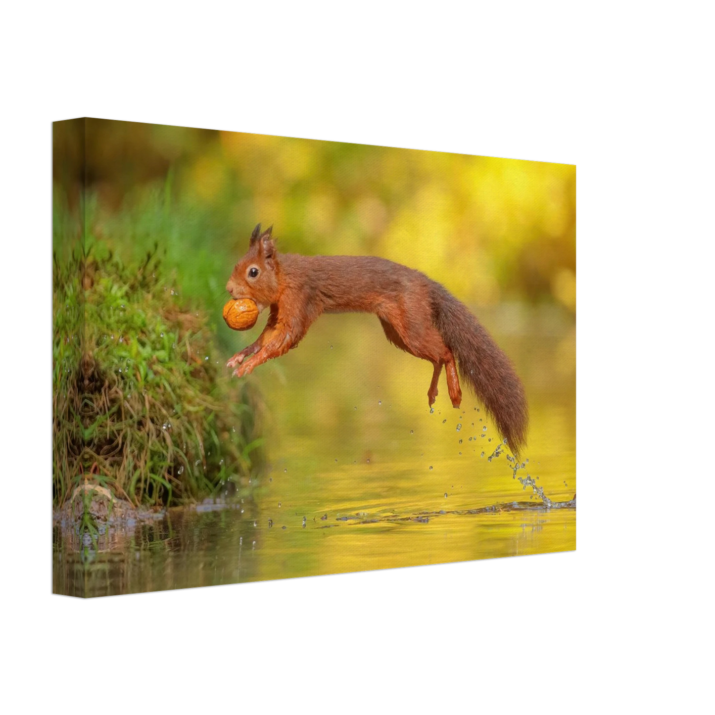 Wandbild eichhoernchen mit nuss dynamische tierkunst in leuchtenden herbstfarben