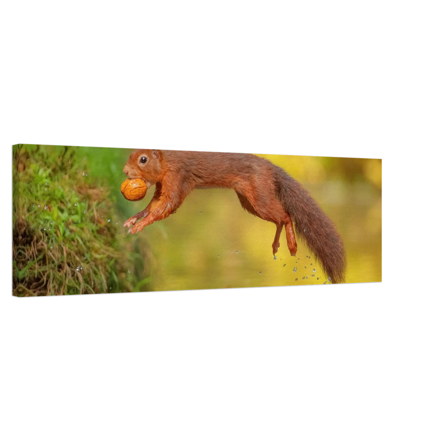 Wandbild eichhoernchen mit nuss dynamische tierkunst in leuchtenden herbstfarben