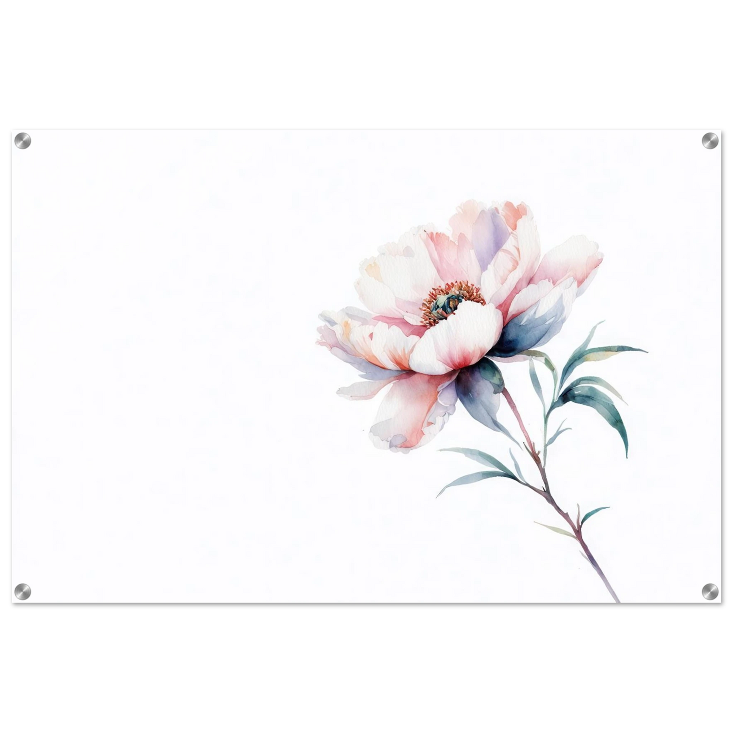 Wandbild zarte pfingstrose elegante aquarell kunst fuer ihr zuhause in wunschgroesse