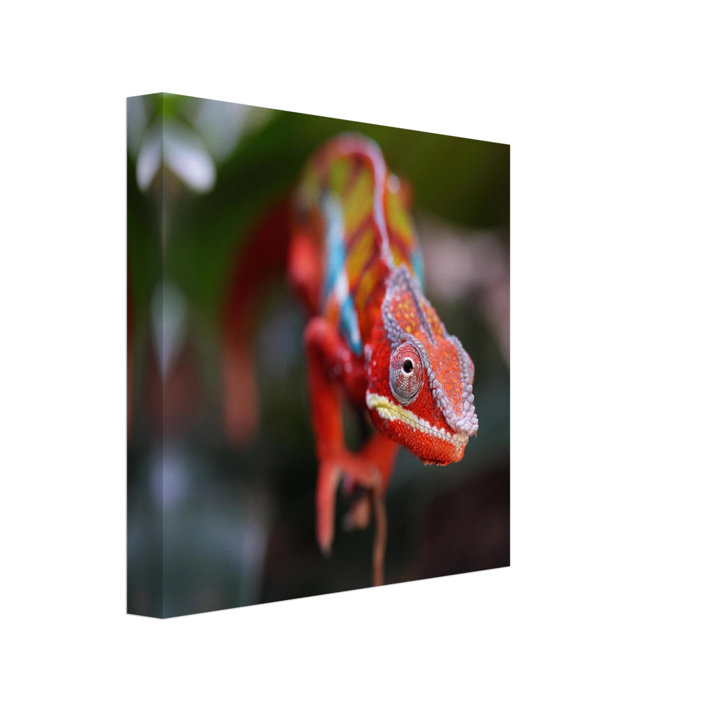 Wandbild faszinierendes chamaeleon portraet lebendige tierkunst fuer ihr zuhause in ihrer wunschgroesse