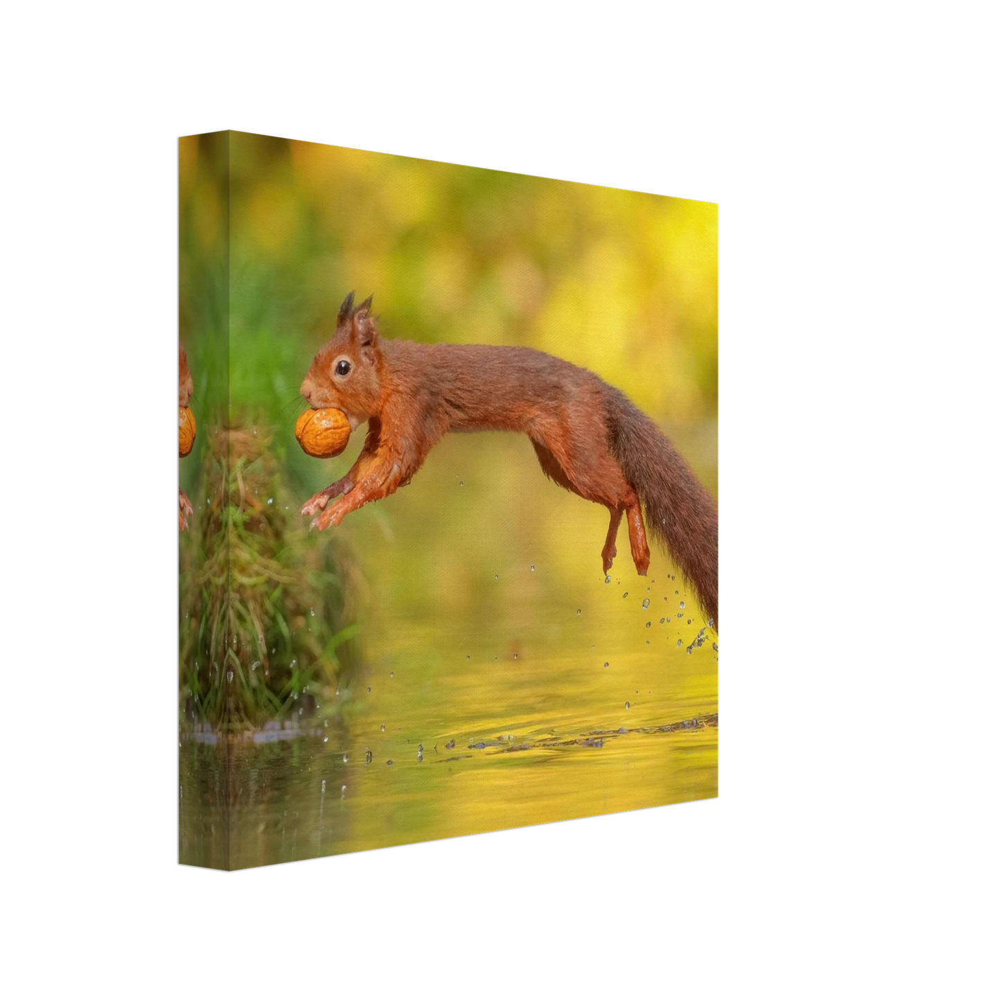 Wandbild eichhoernchen mit nuss dynamische tierkunst in leuchtenden herbstfarben