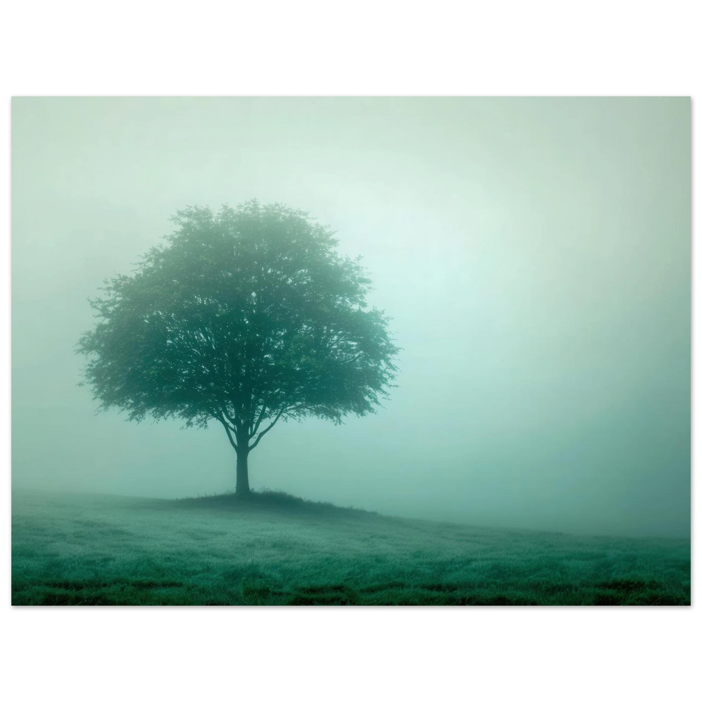 Wandbild mystischer baum im nebel ruhe und gruentoene fuer dein zuhause