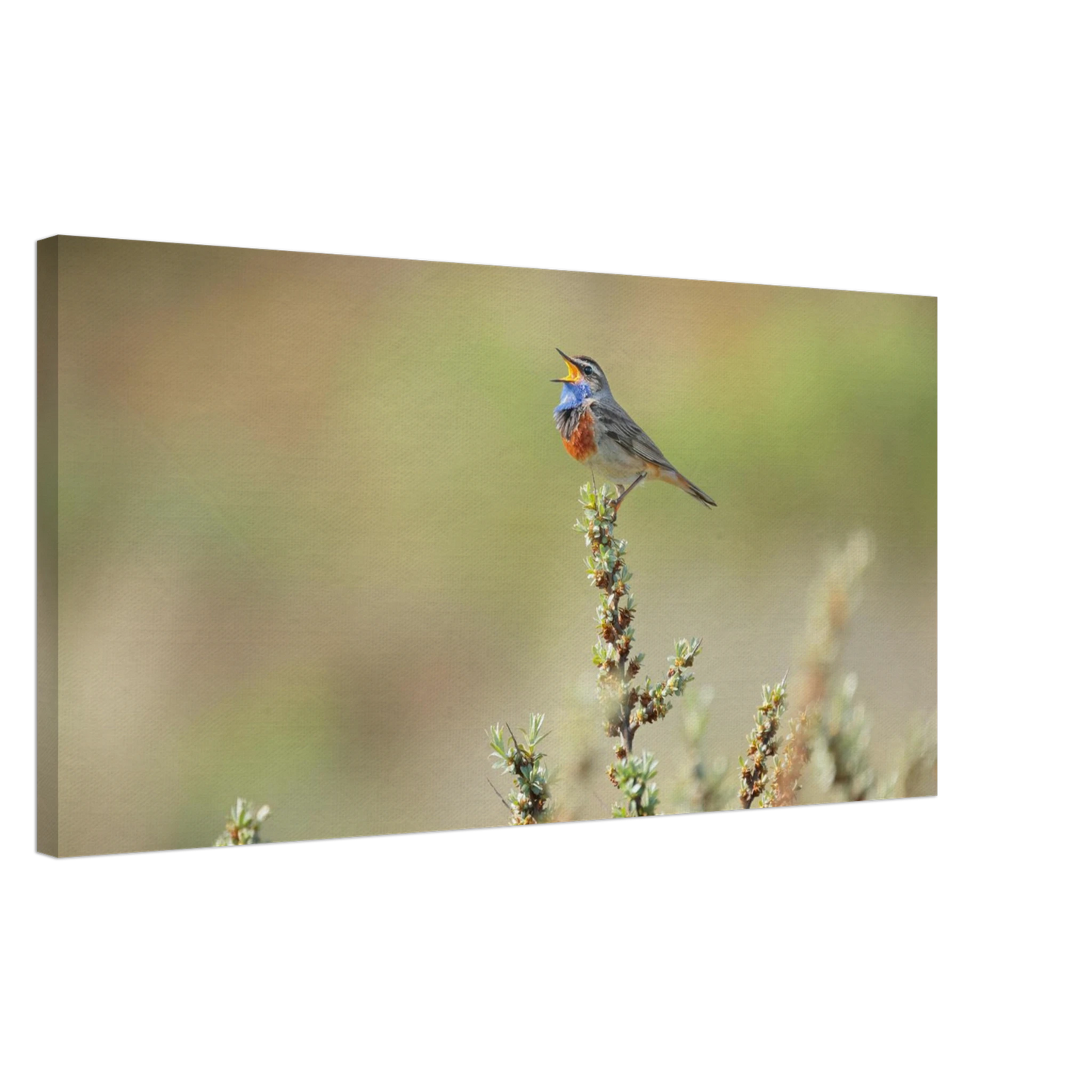 Wandbild der ruf der wildnis ein lebhaftes vogelportraet