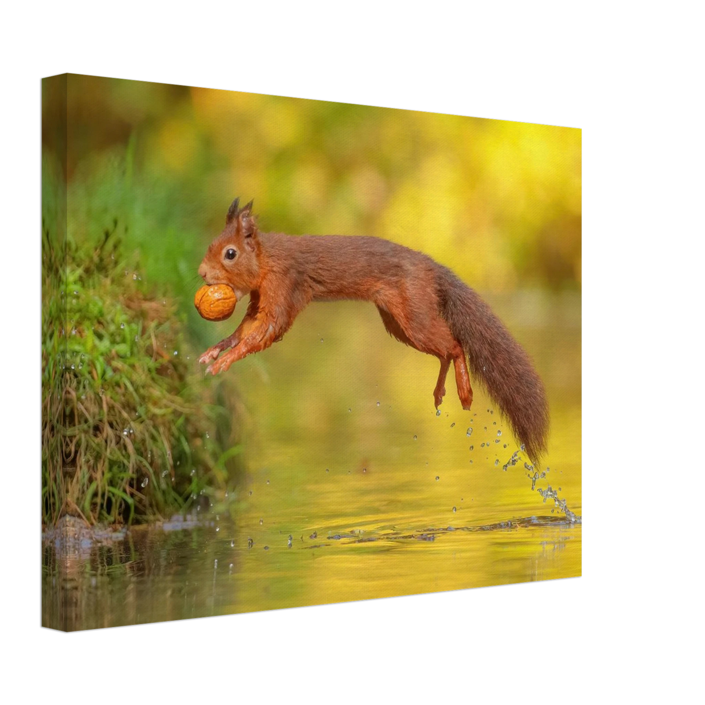 Wandbild eichhoernchen mit nuss dynamische tierkunst in leuchtenden herbstfarben