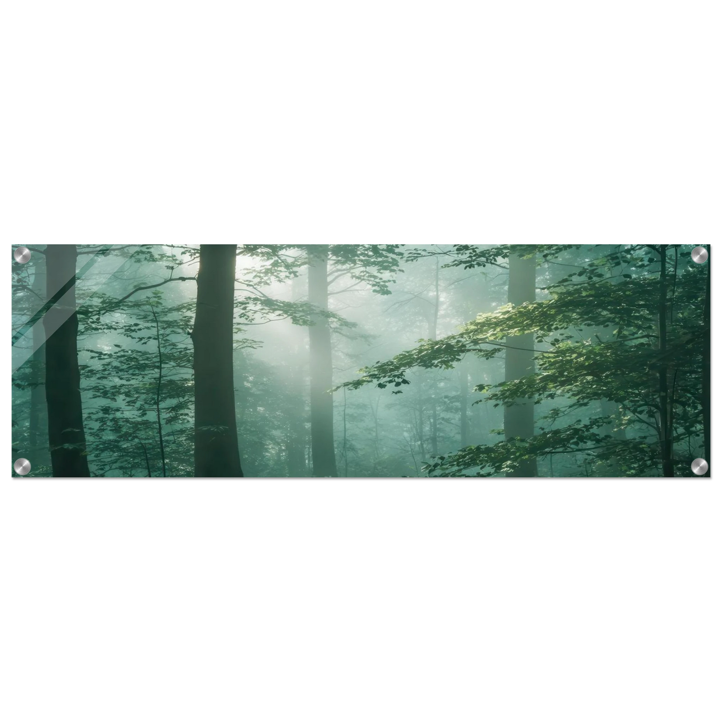 Wandbild mystischer smaragd wald mit sonnenstrahlen beruhigende nebelwald kunst in ihrer wunschgroesse