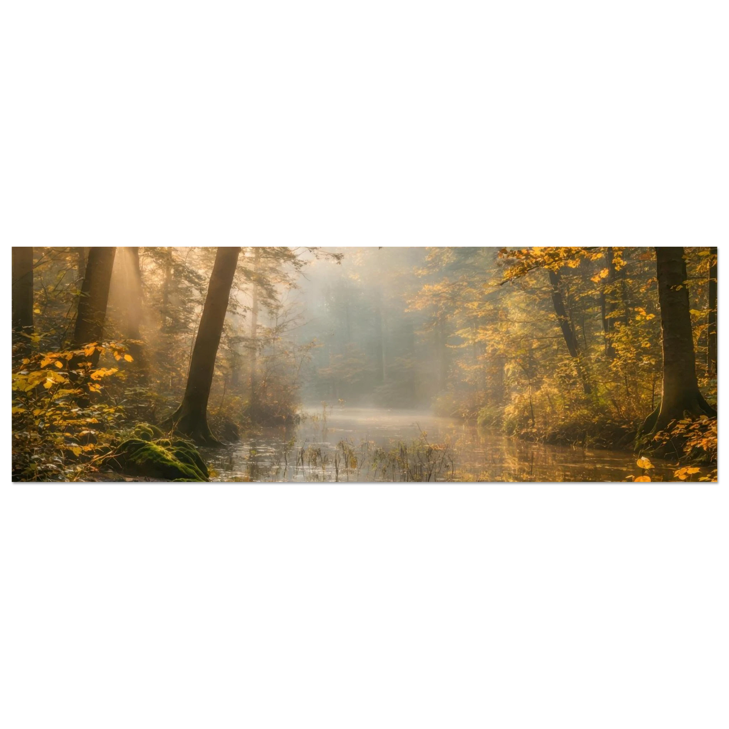 Wandbild Herbstwald morgenlicht wandbild goldenes ambiente in deiner wunschgroesse