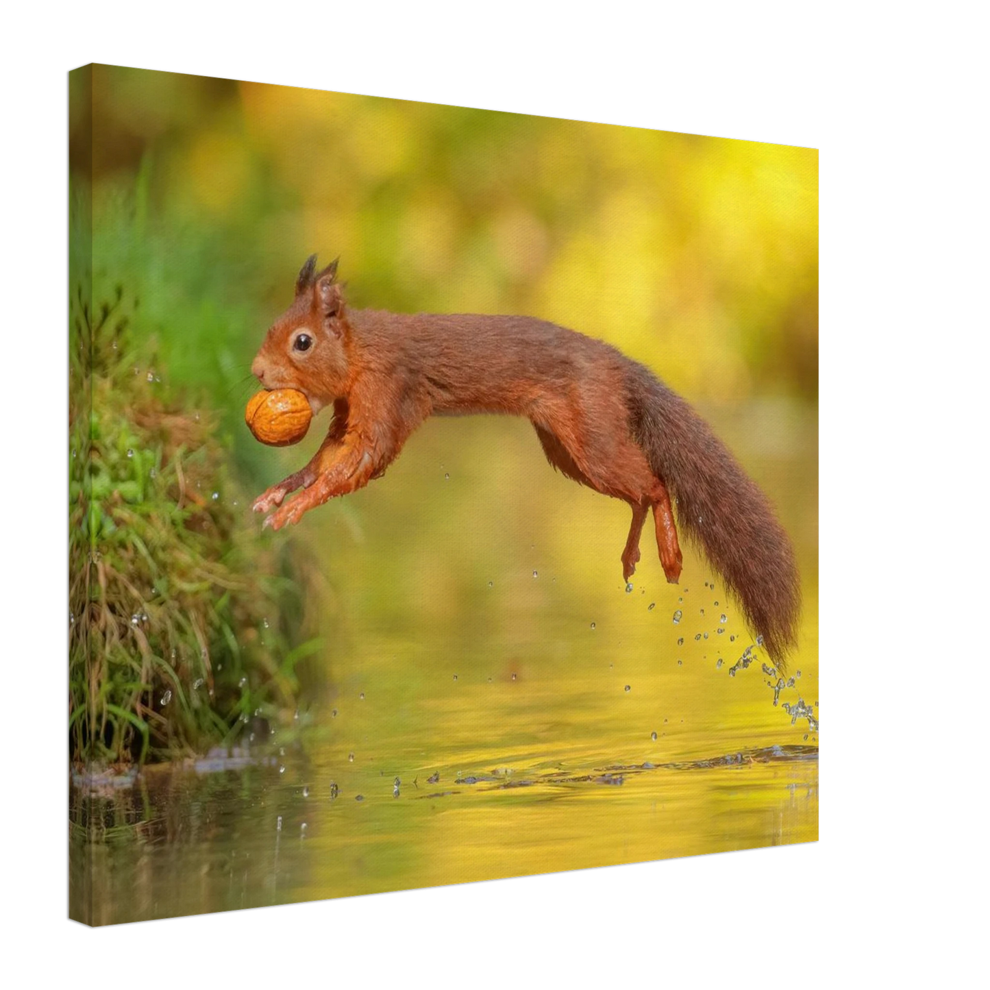 Wandbild eichhoernchen mit nuss dynamische tierkunst in leuchtenden herbstfarben